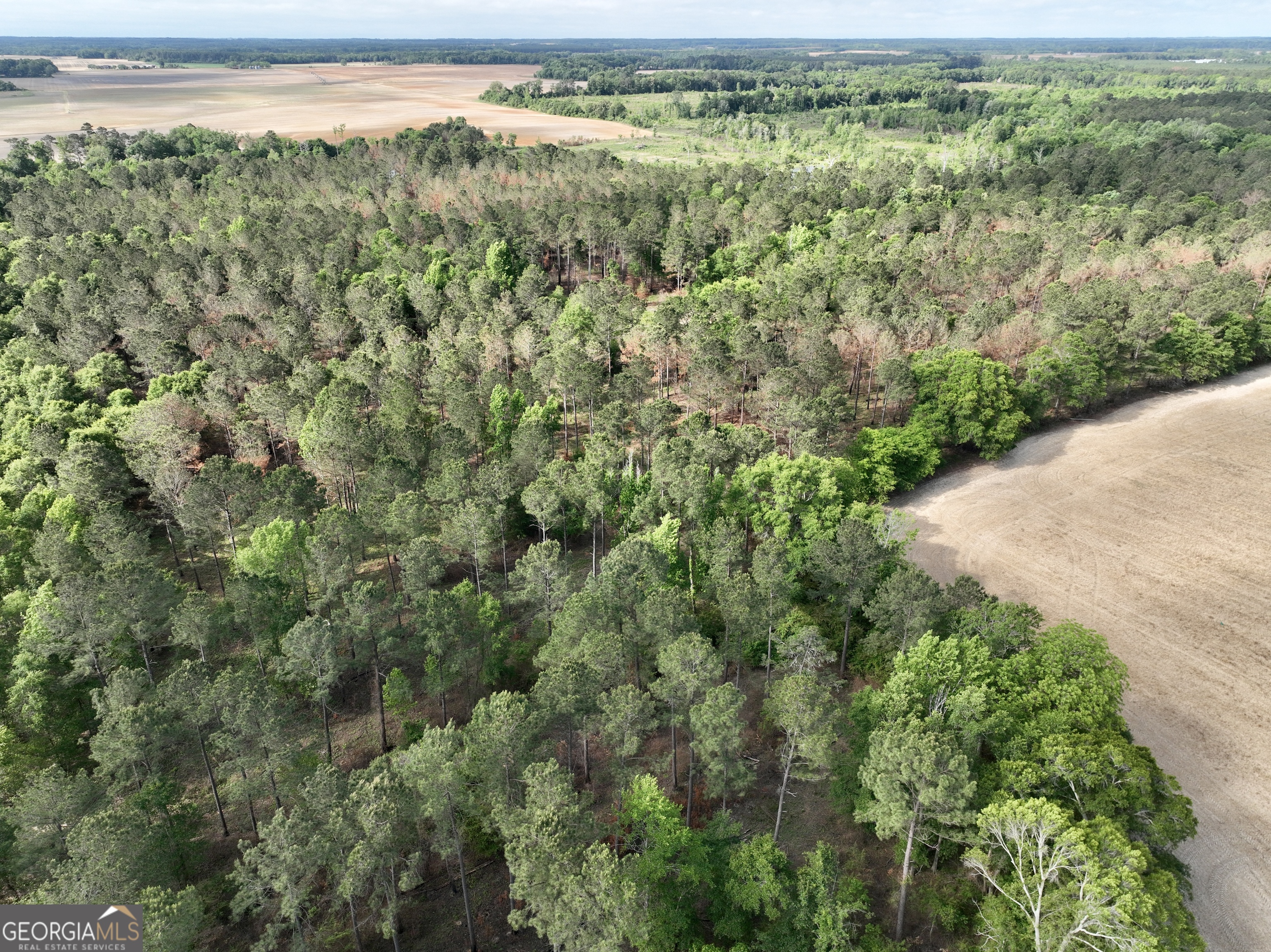 0 Folds Road Pineview, GA 31071 - Photo 42 of 63