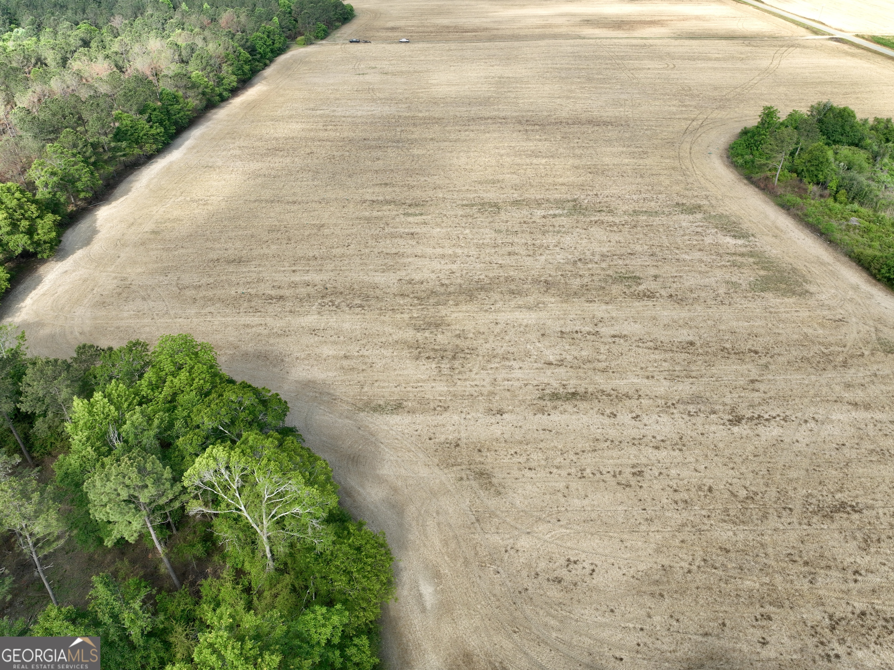 0 Folds Road Pineview, GA 31071 - Photo 43 of 63