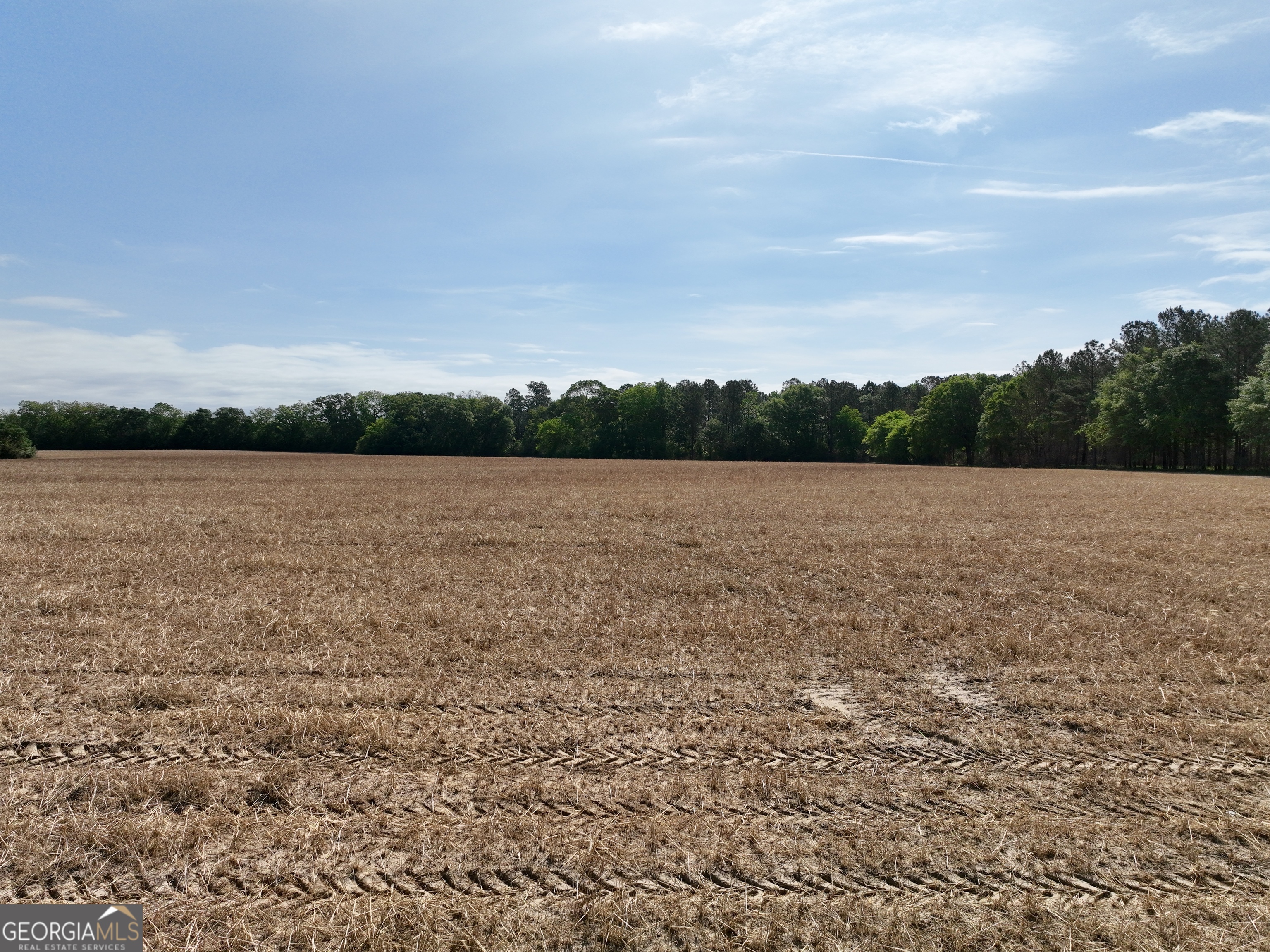 0 Folds Road Pineview, GA 31071 - Photo 44 of 63