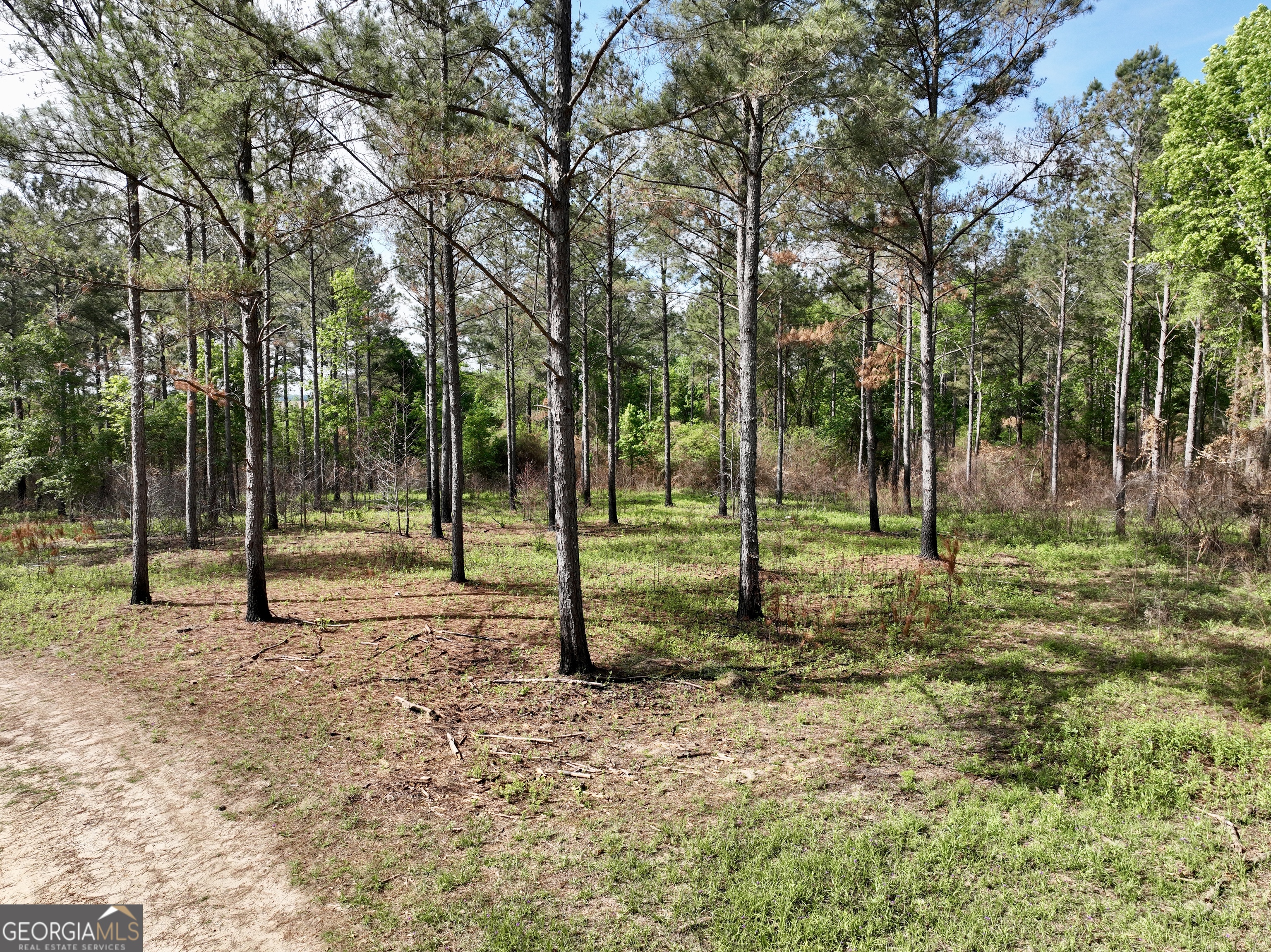 0 Folds Road Pineview, GA 31071 - Photo 46 of 63
