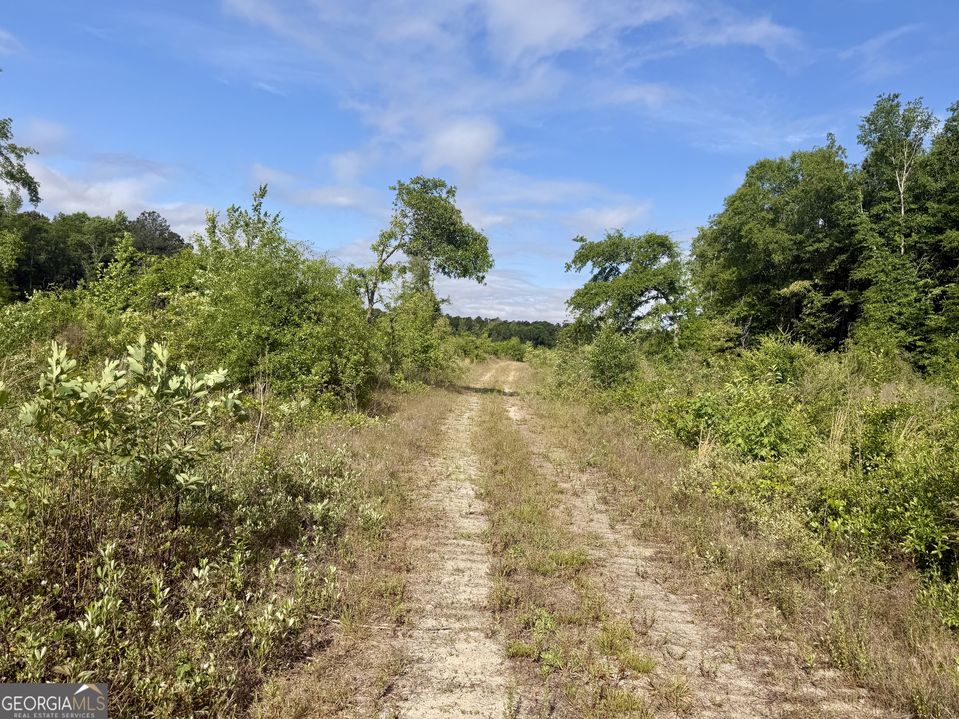 0 Folds Road Pineview, GA 31071 - Photo 48 of 63