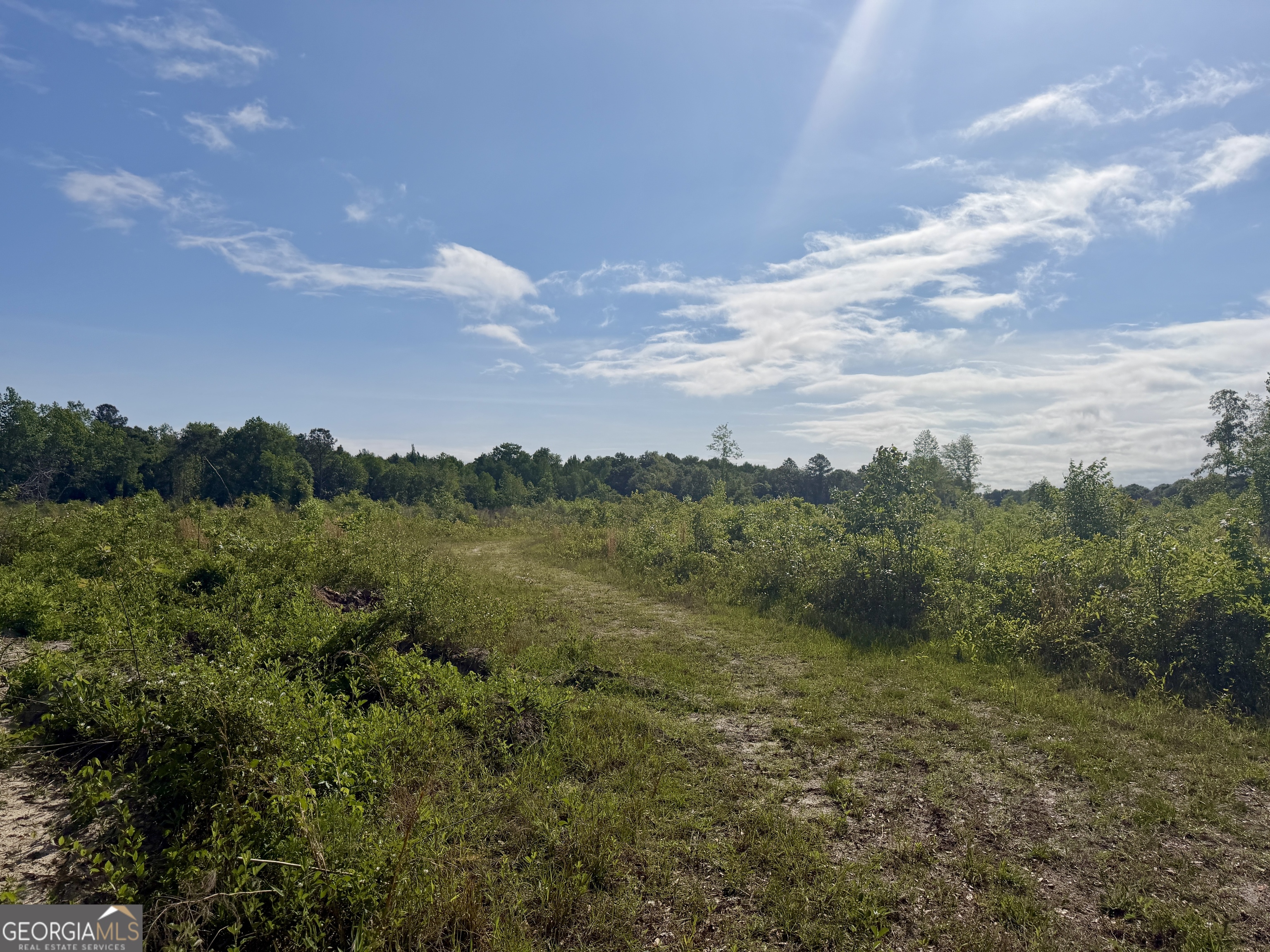 0 Folds Road Pineview, GA 31071 - Photo 49 of 63