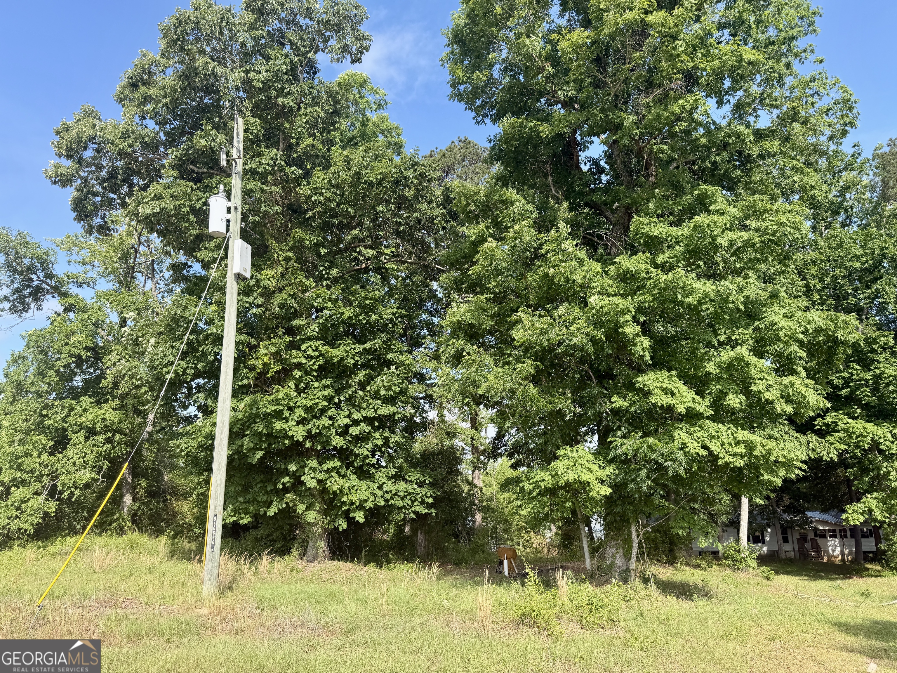 0 Folds Road Pineview, GA 31071 - Photo 50 of 63