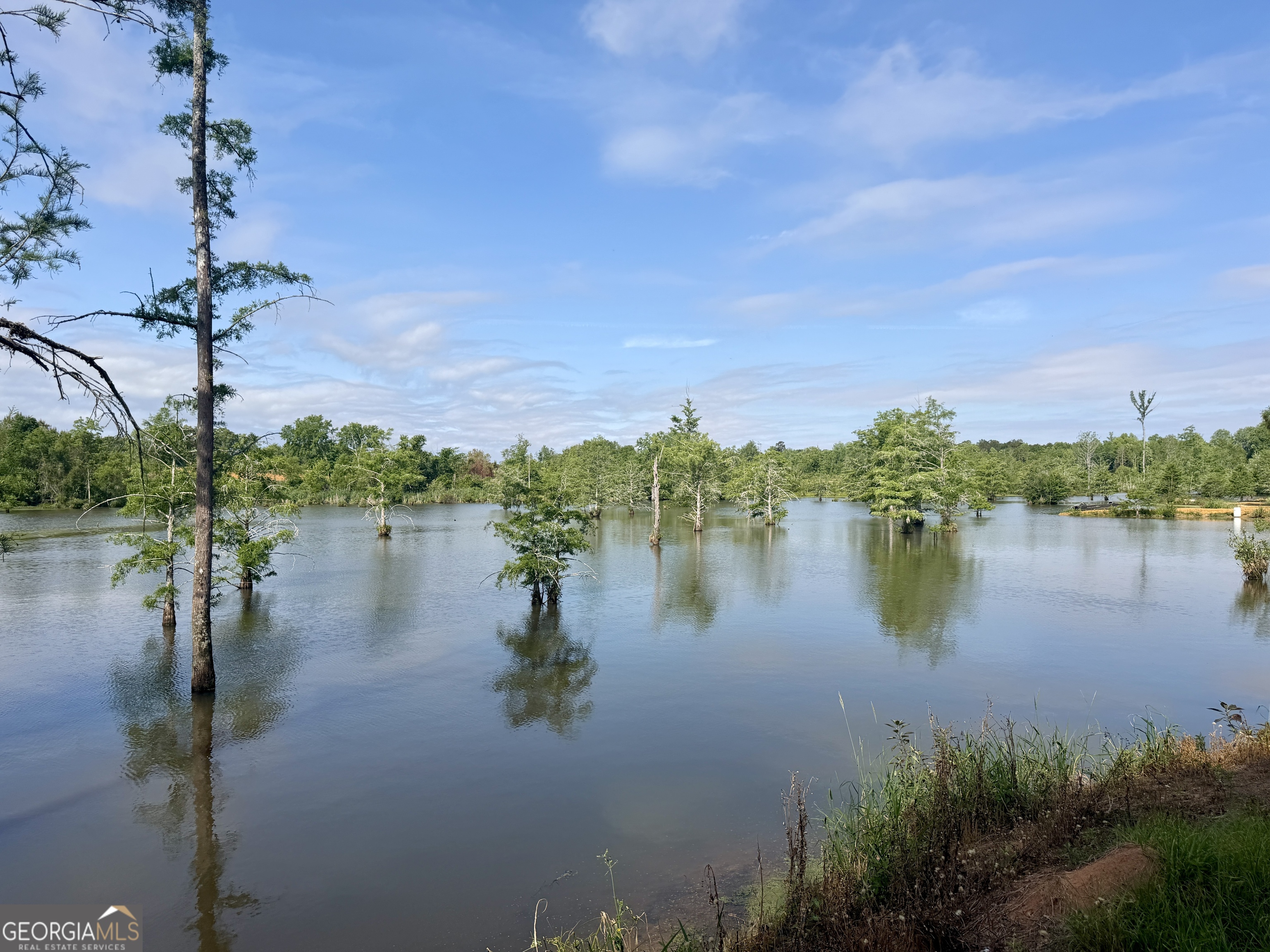 0 Folds Road Pineview, GA 31071 - Photo 53 of 63