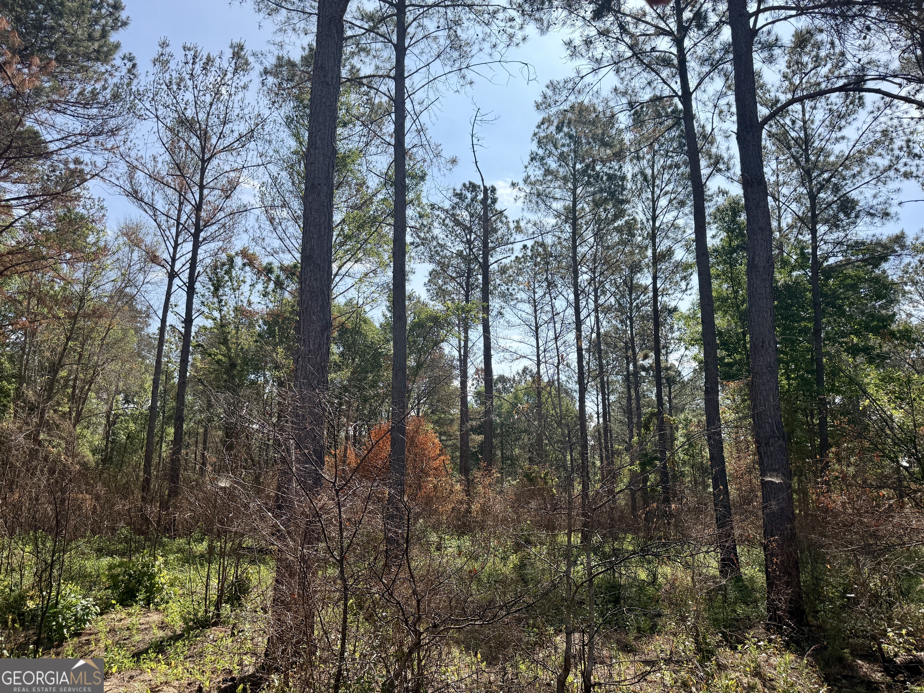0 Folds Road Pineview, GA 31071 - Photo 56 of 63