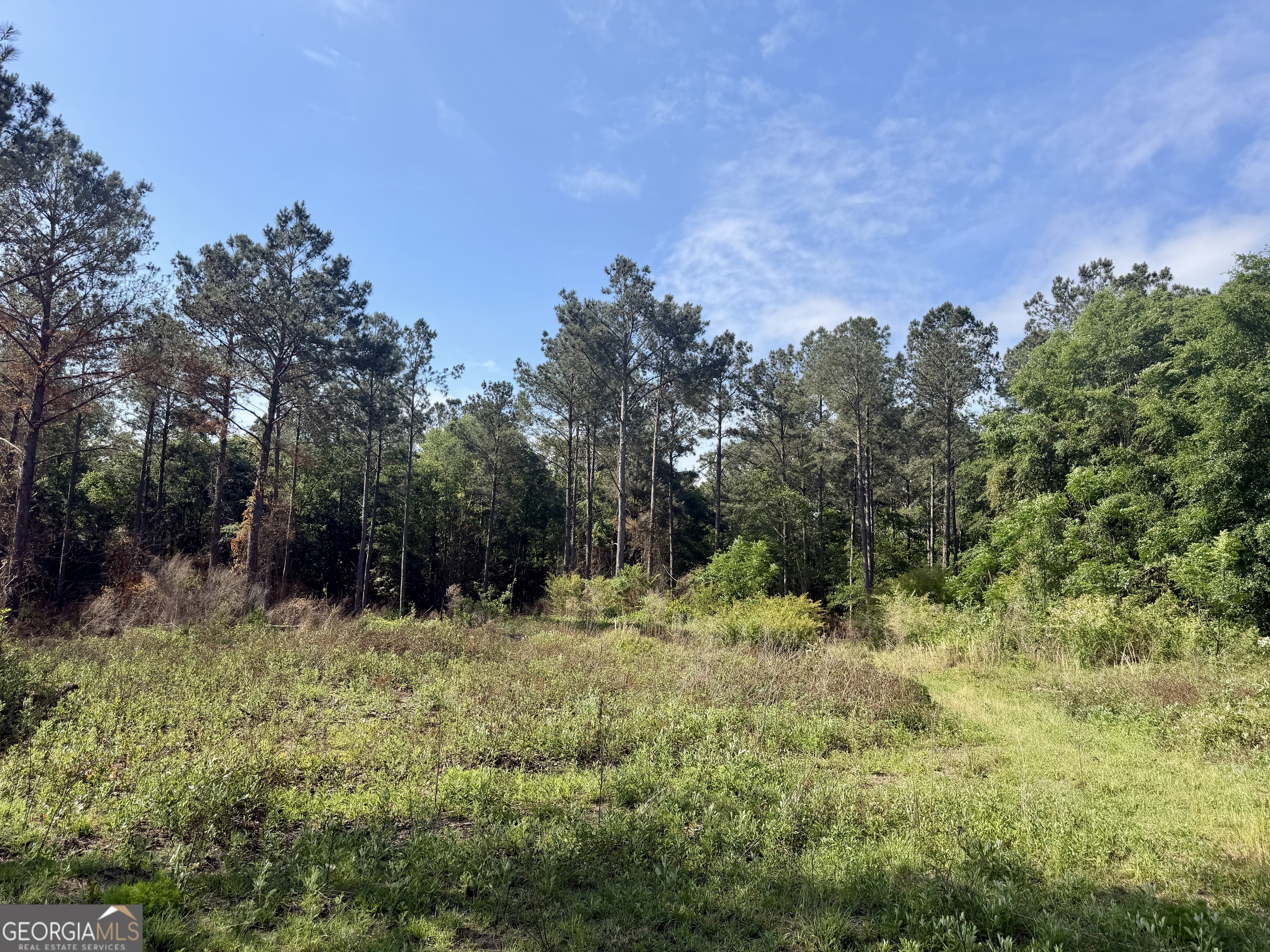 0 Folds Road Pineview, GA 31071 - Photo 57 of 63