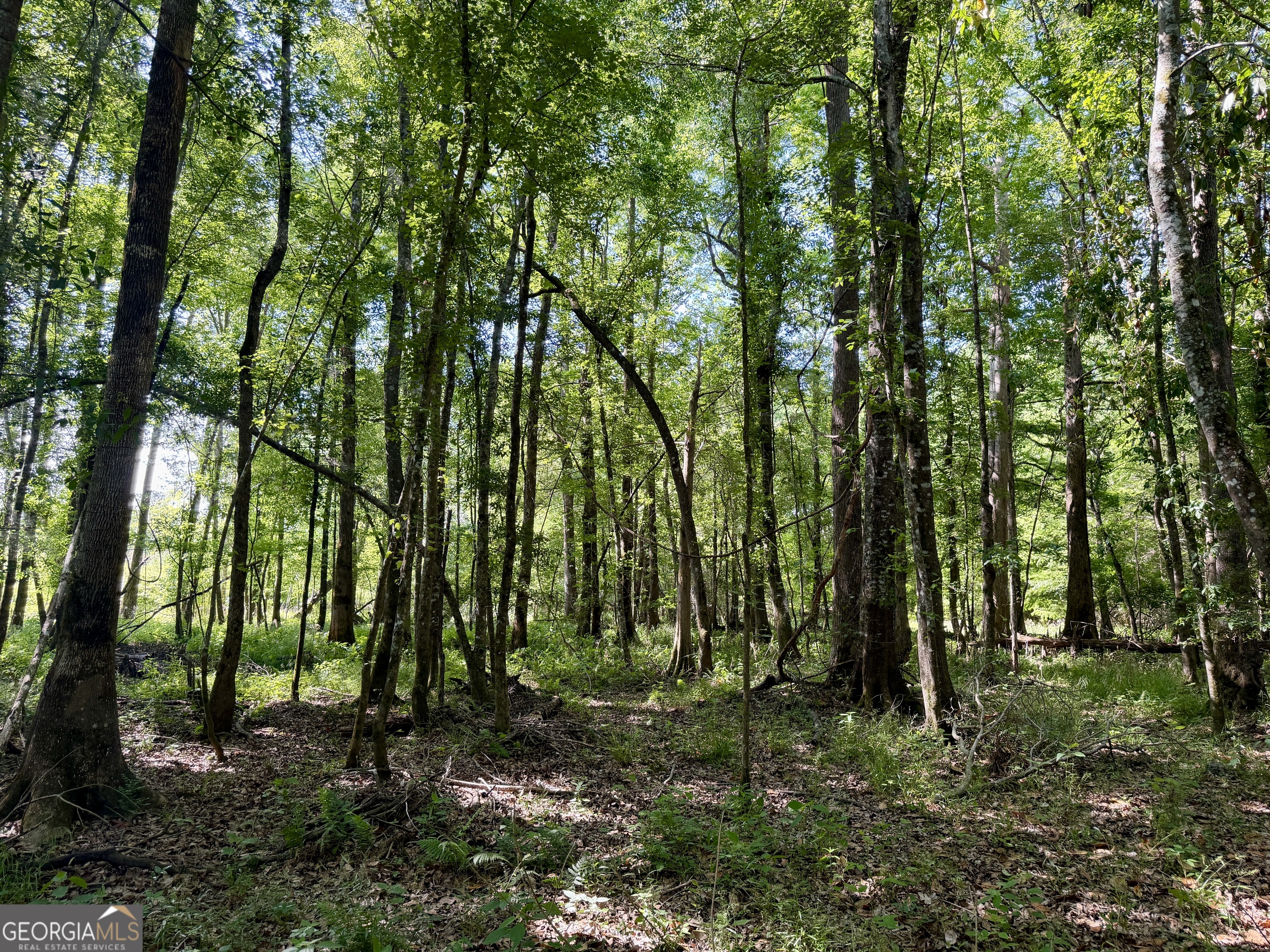 0 Folds Road Pineview, GA 31071 - Photo 58 of 63