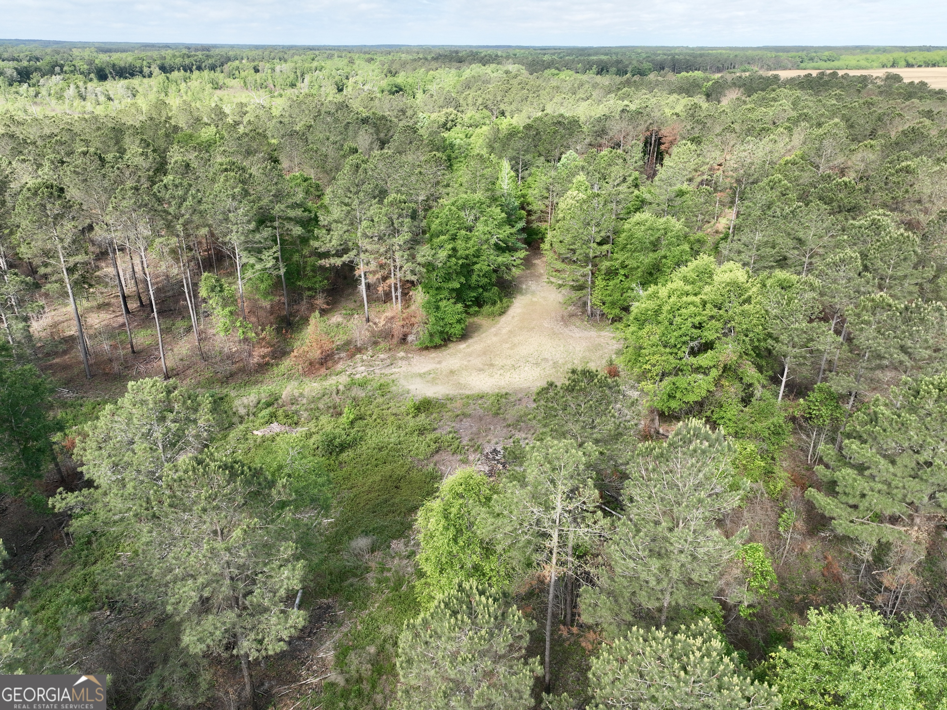 0 Folds Road Pineview, GA 31071 - Photo 6 of 63