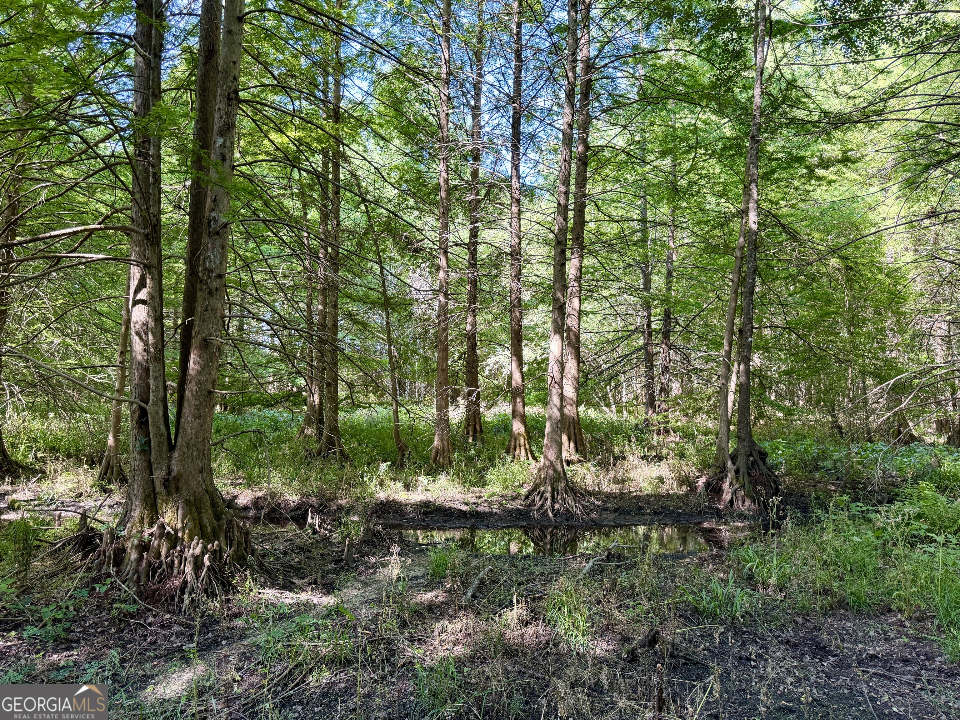 0 Folds Road Pineview, GA 31071 - Photo 62 of 63