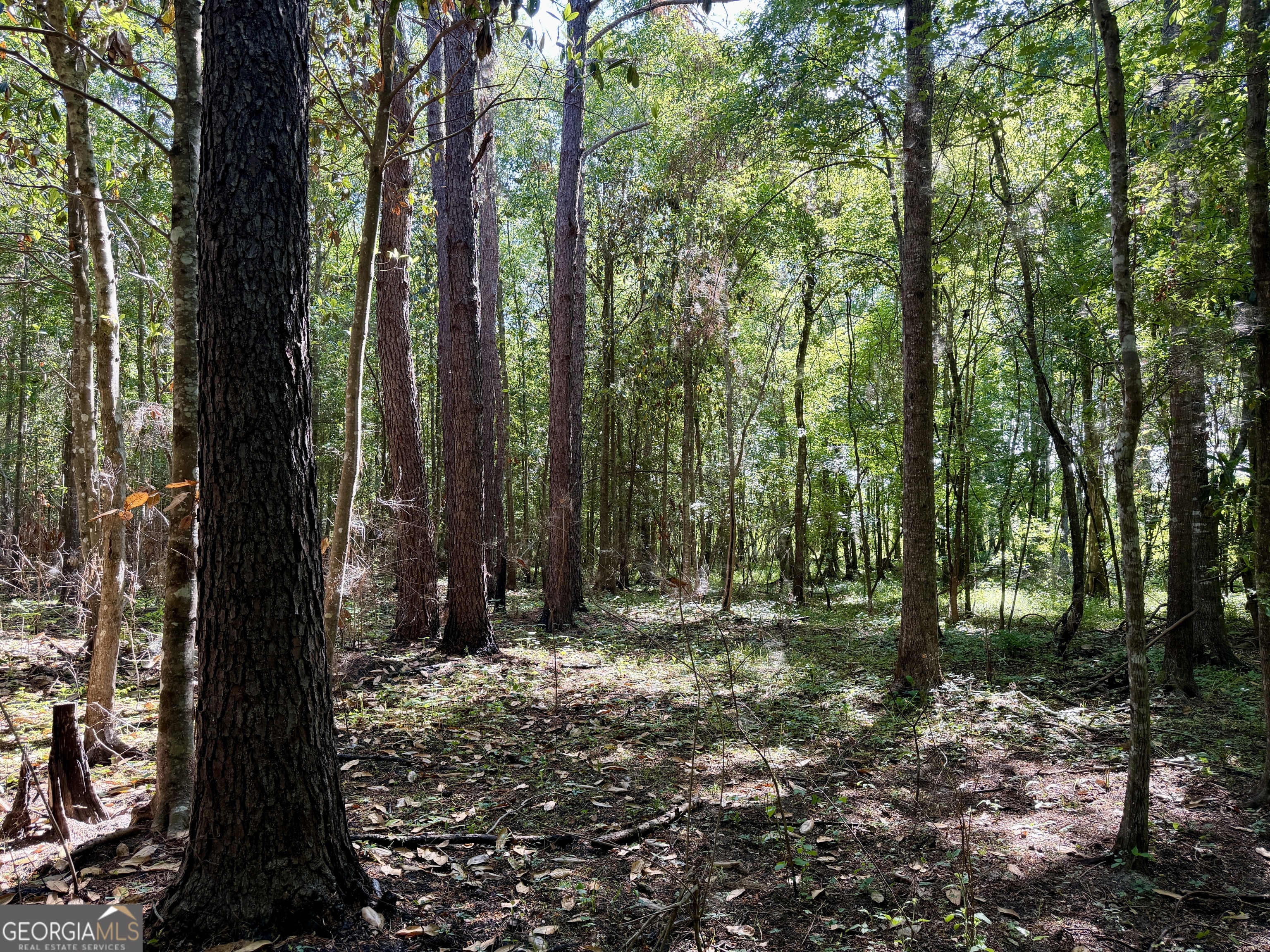 0 Folds Road Pineview, GA 31071 - Photo 63 of 63