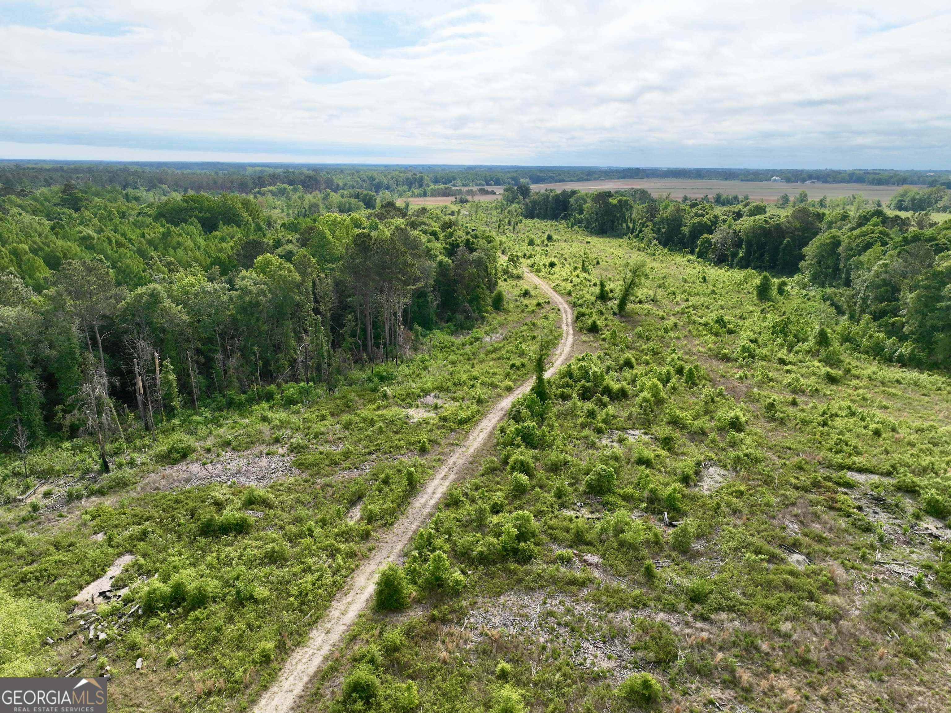 0 Folds Road Pineview, GA 31071 - Photo 7 of 63