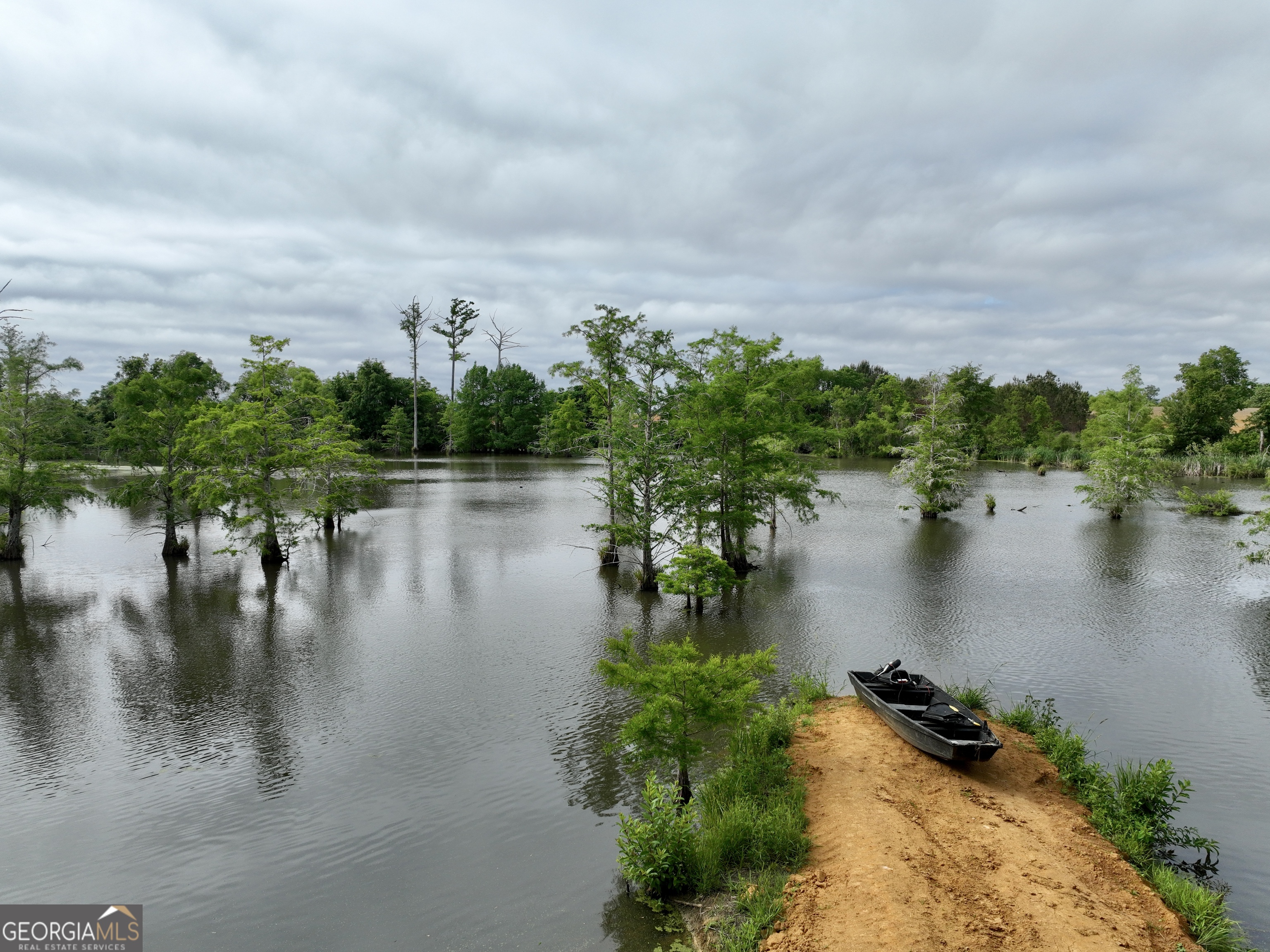 0 Folds Road Pineview, GA 31071 - Photo 8 of 63