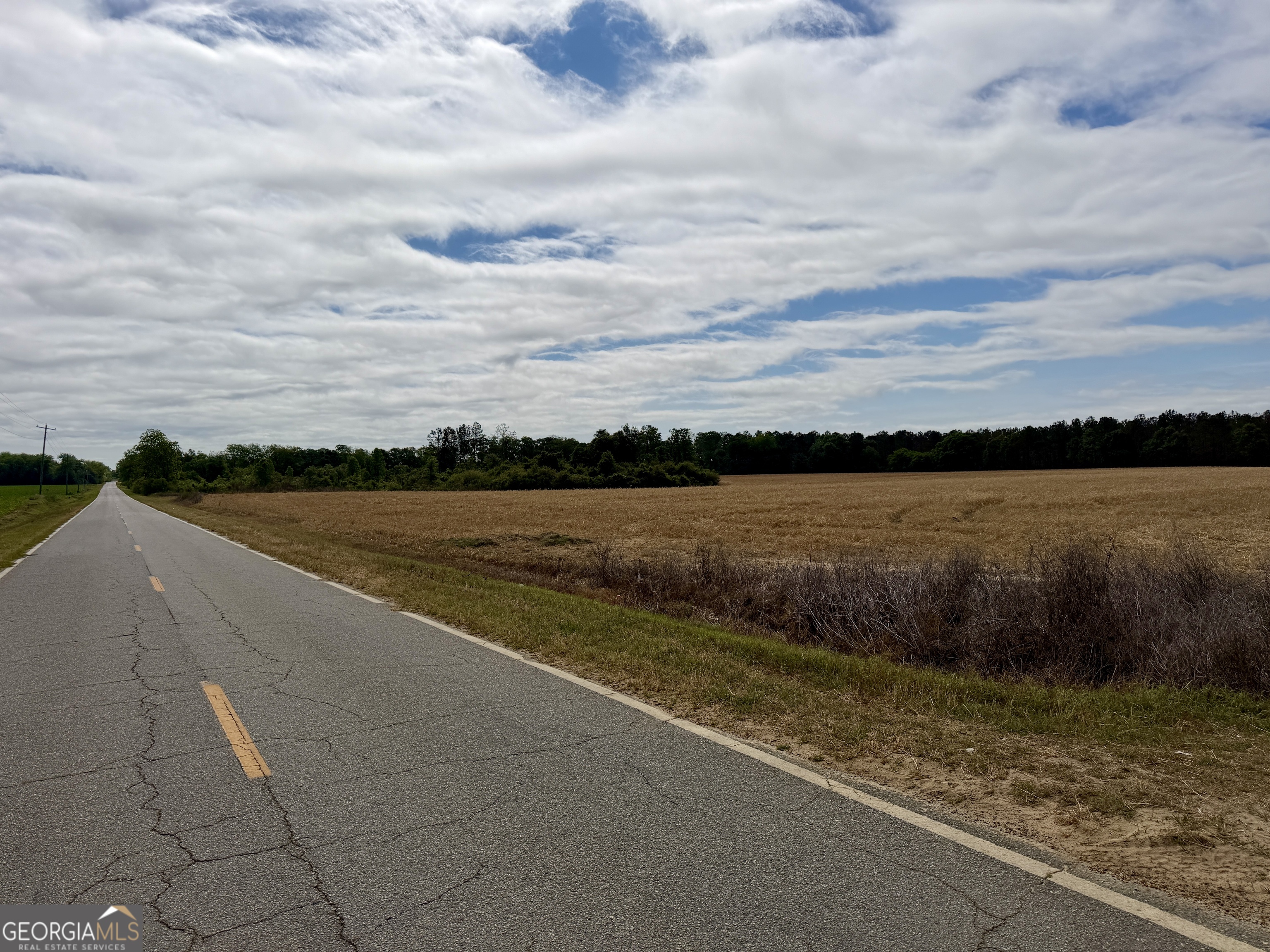0 Folds Road Pineview, GA 31071 - Photo 10 of 63