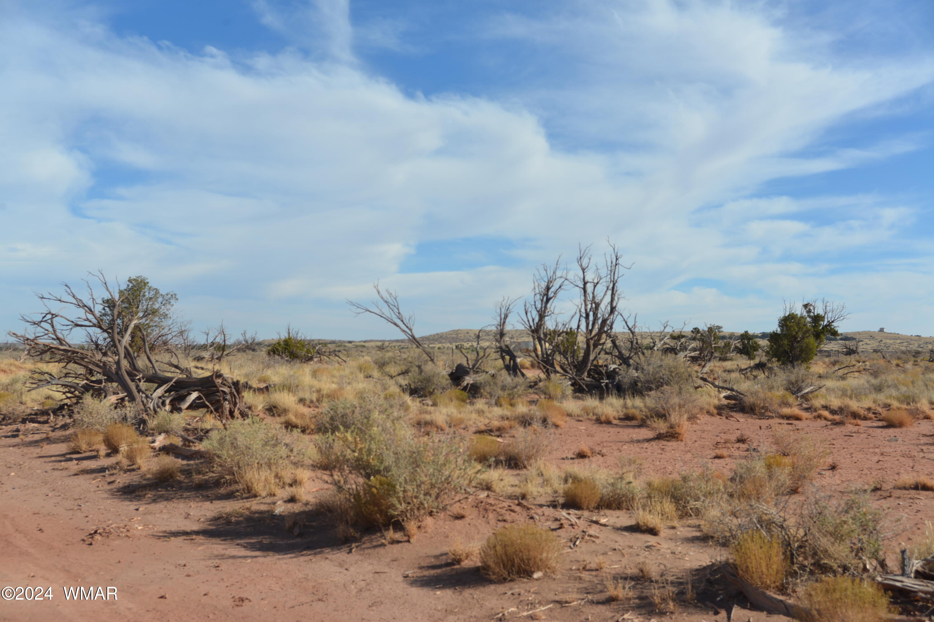 8093 Rockin R Ranch Trail Snowflake, AZ 85937 - Photo 4 of 6 Trees in the distance