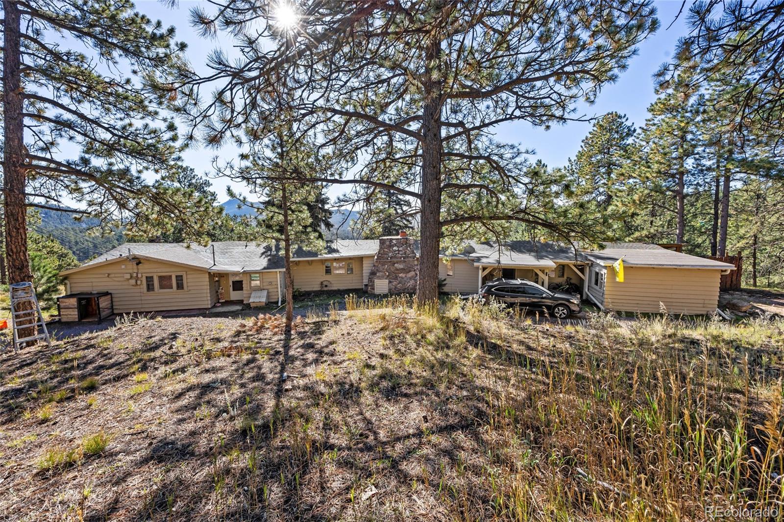 3942 Palo Verde Road Evergreen, CO 80439 - Photo 20 of 41