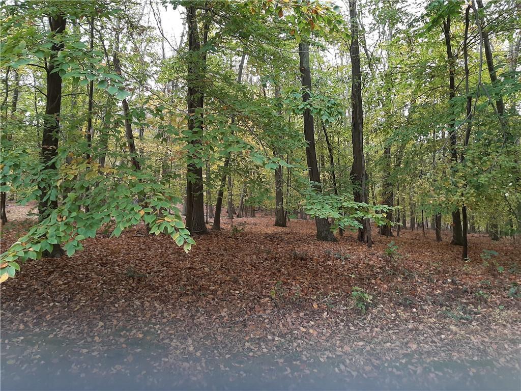 237 North Salem Road Waccabuc, NY 10597 - Photo 1 of 1 Gallery Image 1