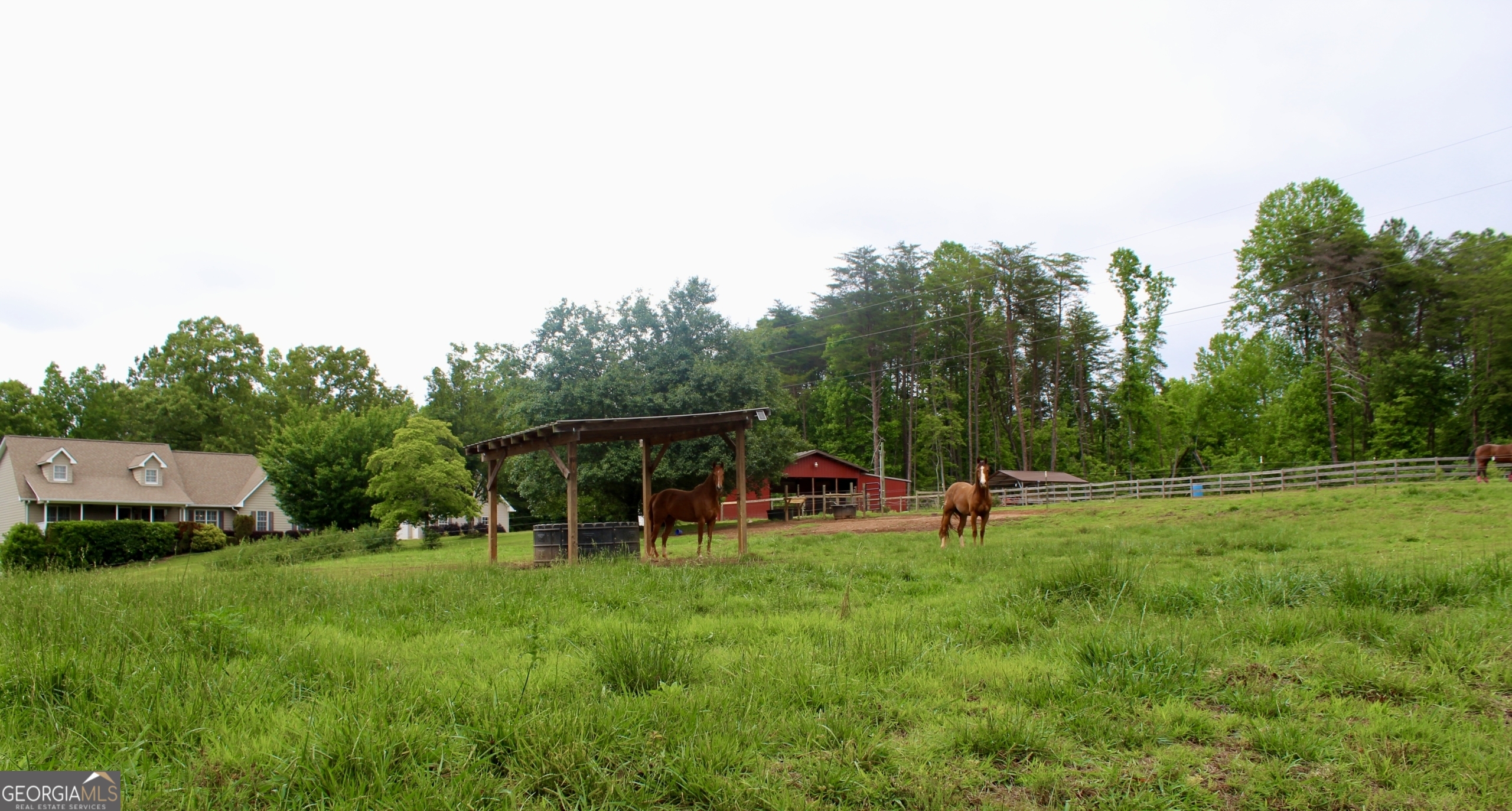 2570 Castleberry Bridge Road Dawsonville, GA 30534 - Photo 39 of 46