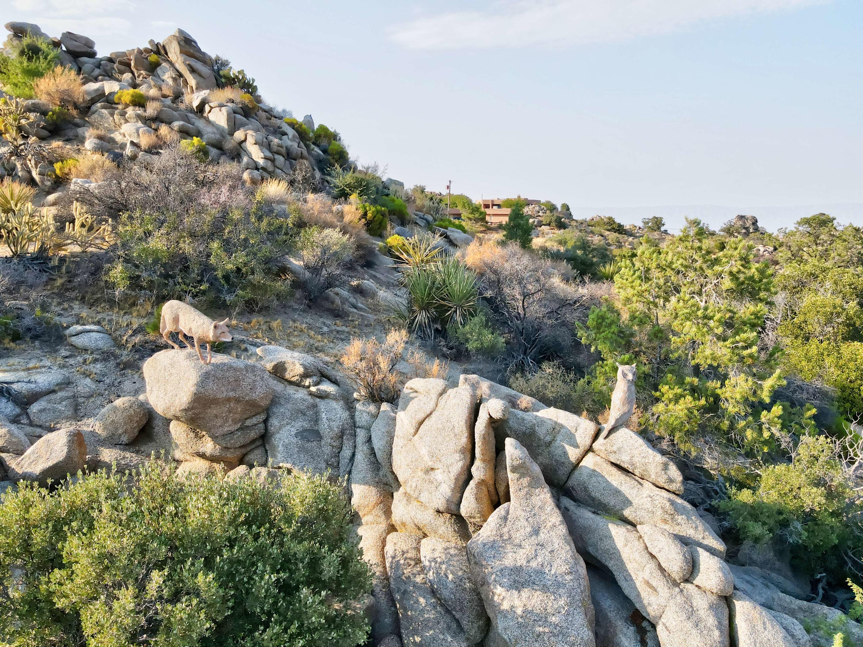 60525 Santa Rosa Road Mountain Center, CA 92561 - Photo 15 of 65 DJI_0252_1