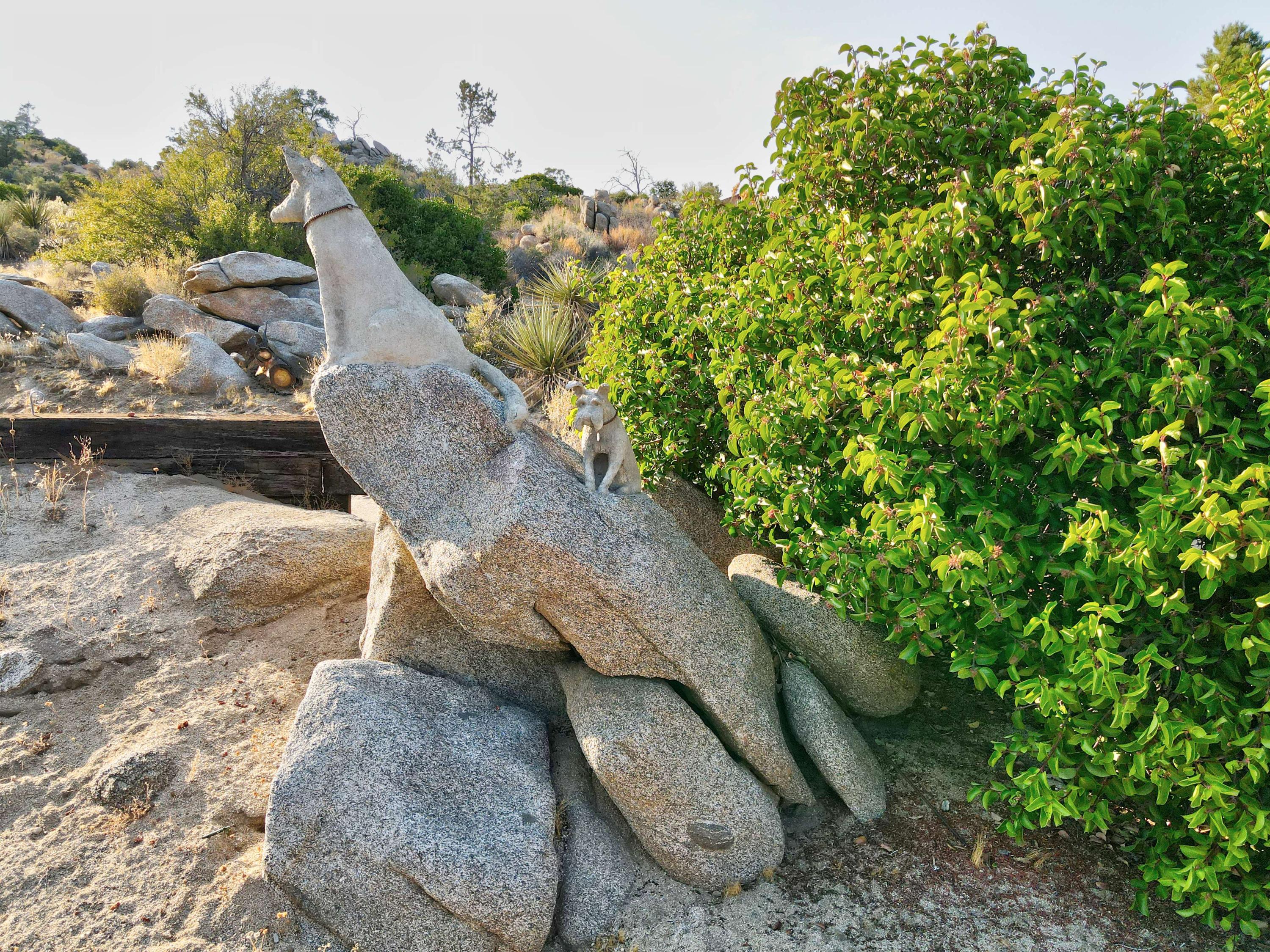 60525 Santa Rosa Road Mountain Center, CA 92561 - Photo 18 of 65 DJI_0256_1