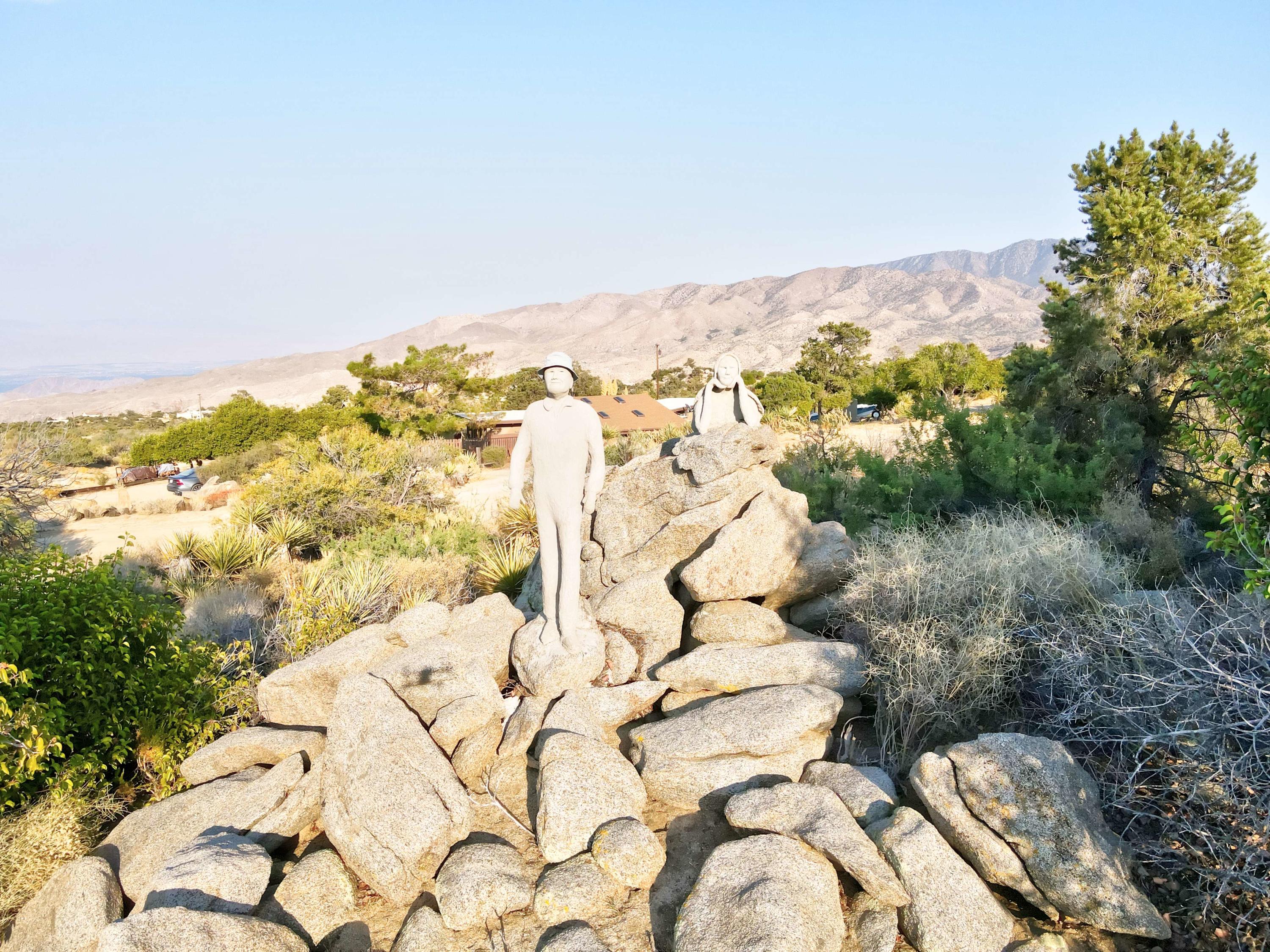 60525 Santa Rosa Road Mountain Center, CA 92561 - Photo 20 of 65 DJI_0258_1