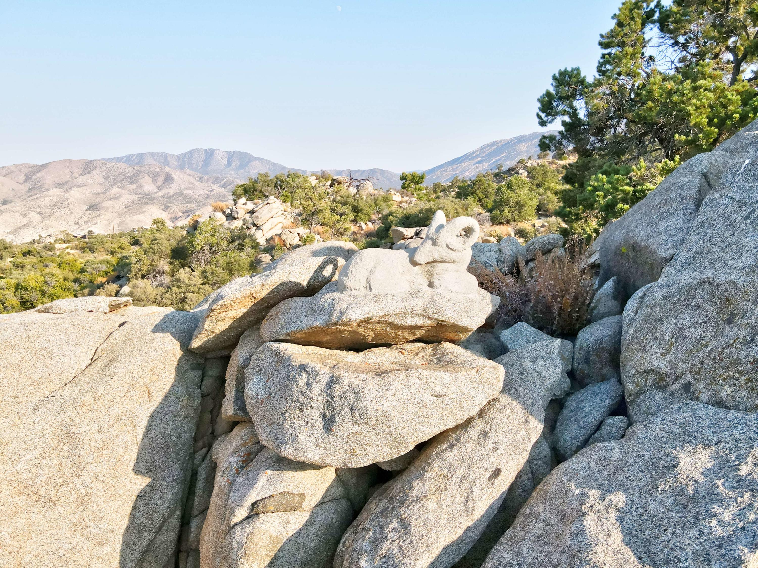 60525 Santa Rosa Road Mountain Center, CA 92561 - Photo 21 of 65 DJI_0260_1