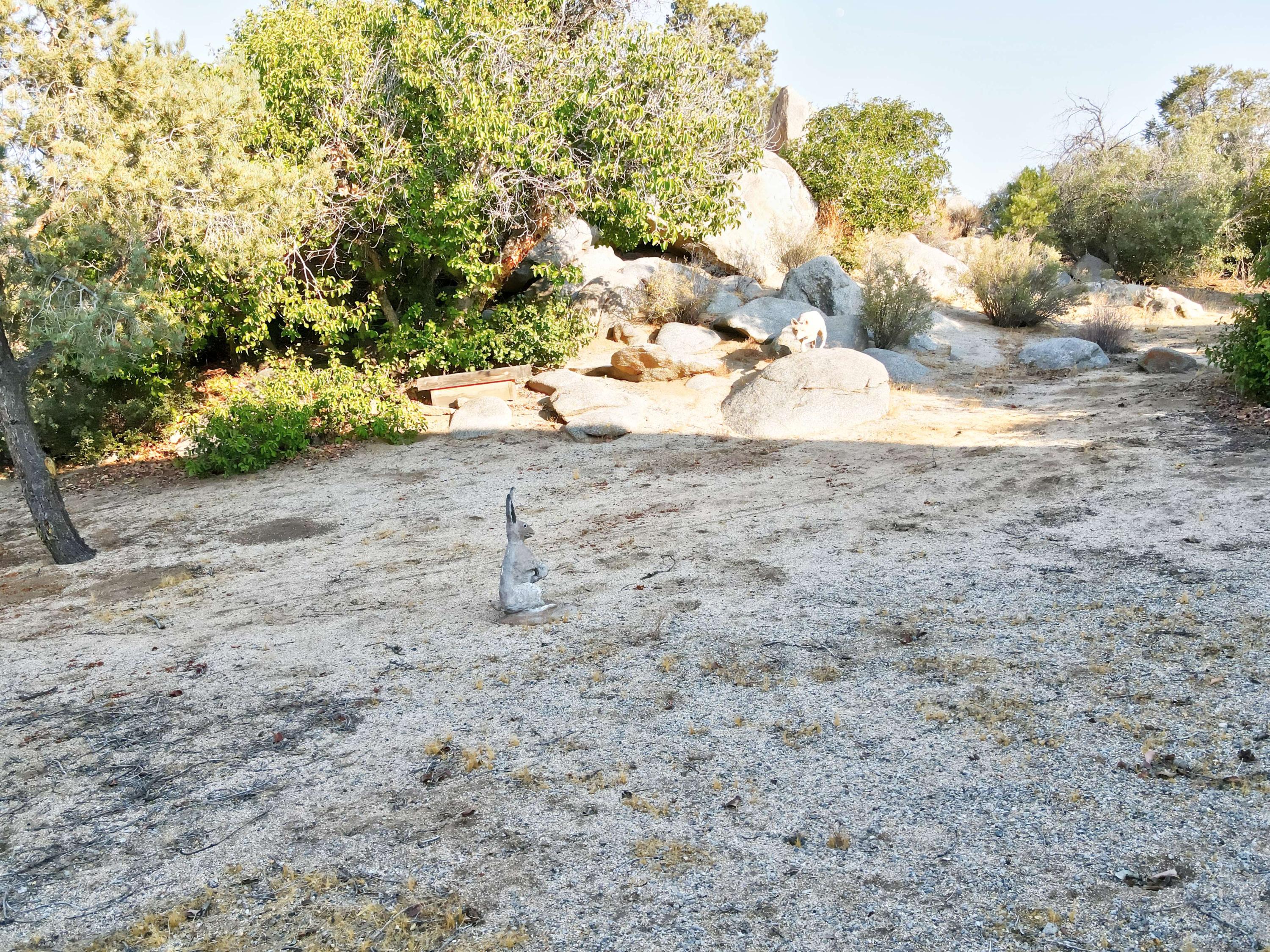60525 Santa Rosa Road Mountain Center, CA 92561 - Photo 22 of 65 DJI_0261_1