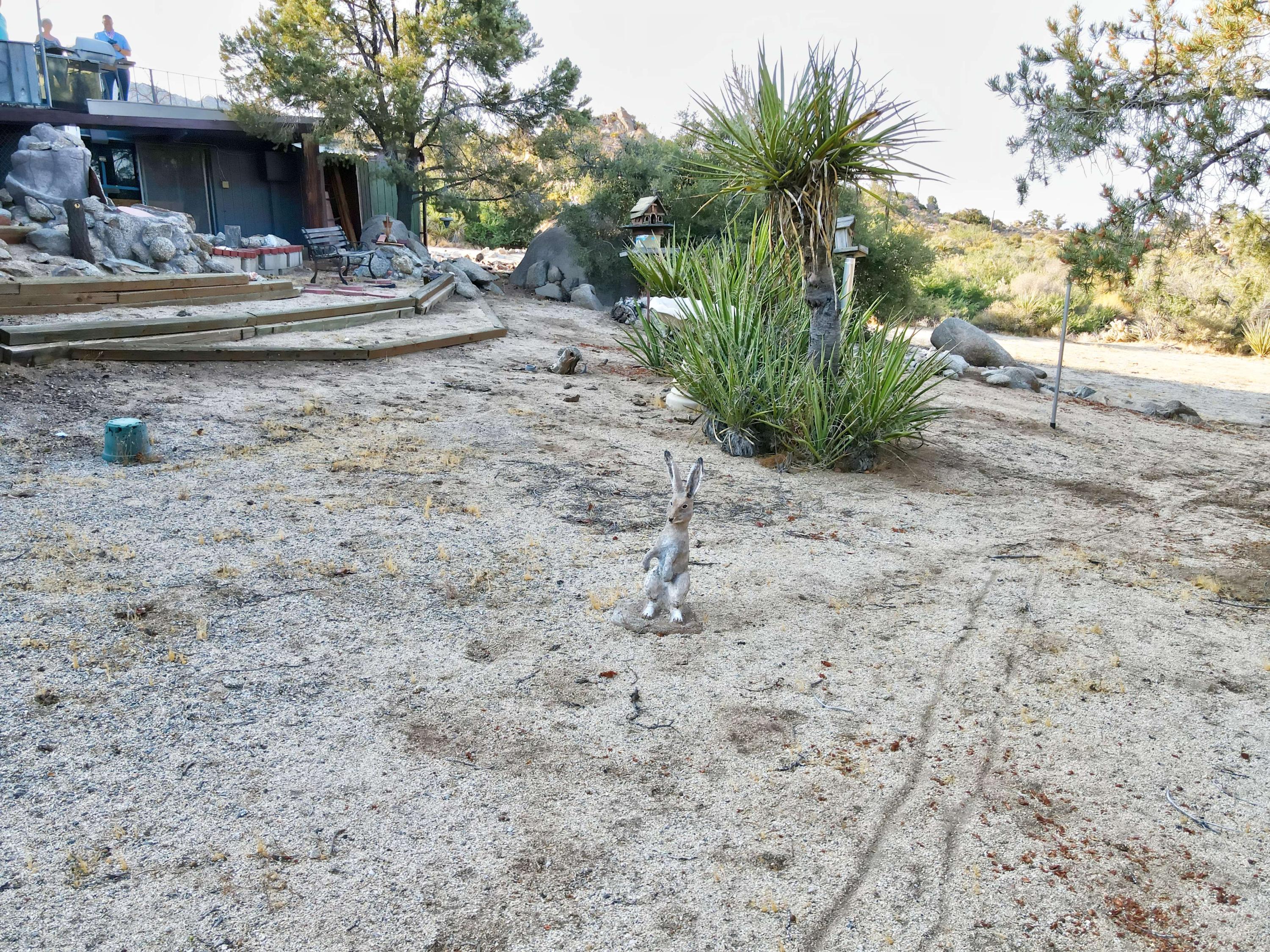60525 Santa Rosa Road Mountain Center, CA 92561 - Photo 24 of 65 DJI_0263_1