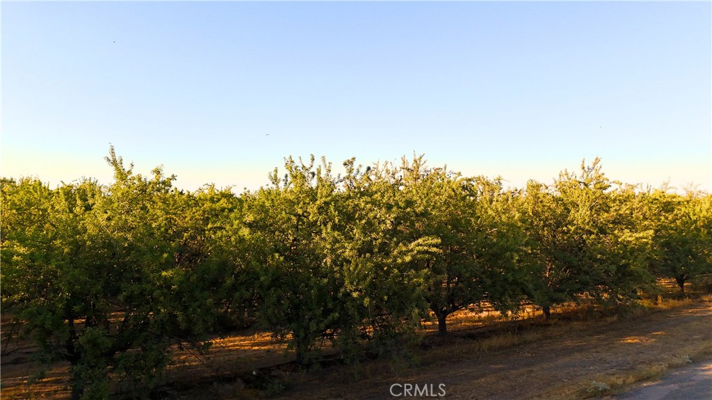 0 Rd 18 & Ave 16 Madera, CA 93637 - Photo 4 of 9 a view of a yard with mountain view