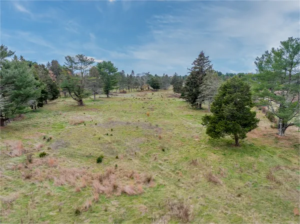 a big yard with lots of green space and plants