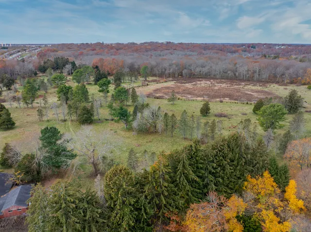 a view of a field with trees in the background