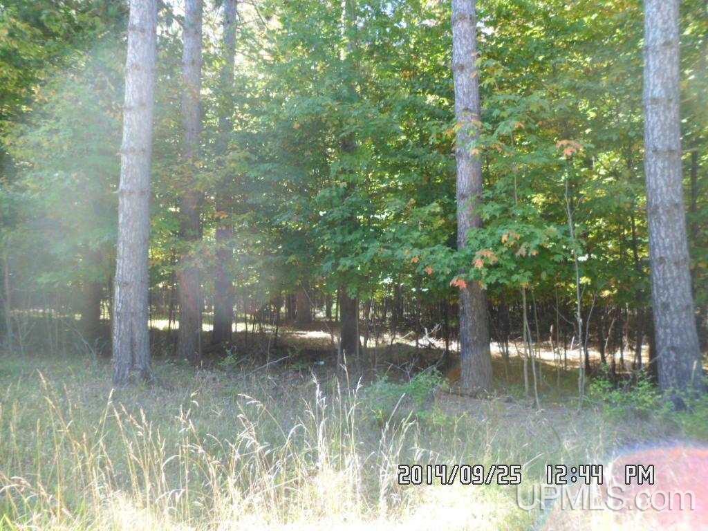 Tbd North Tbd N 75th Road Gladstone, MI 49837 - Photo 2 of 10