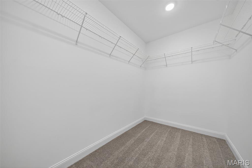 130 Bristol Ridge Drive Troy, MO 63379 - Photo 46 of 53