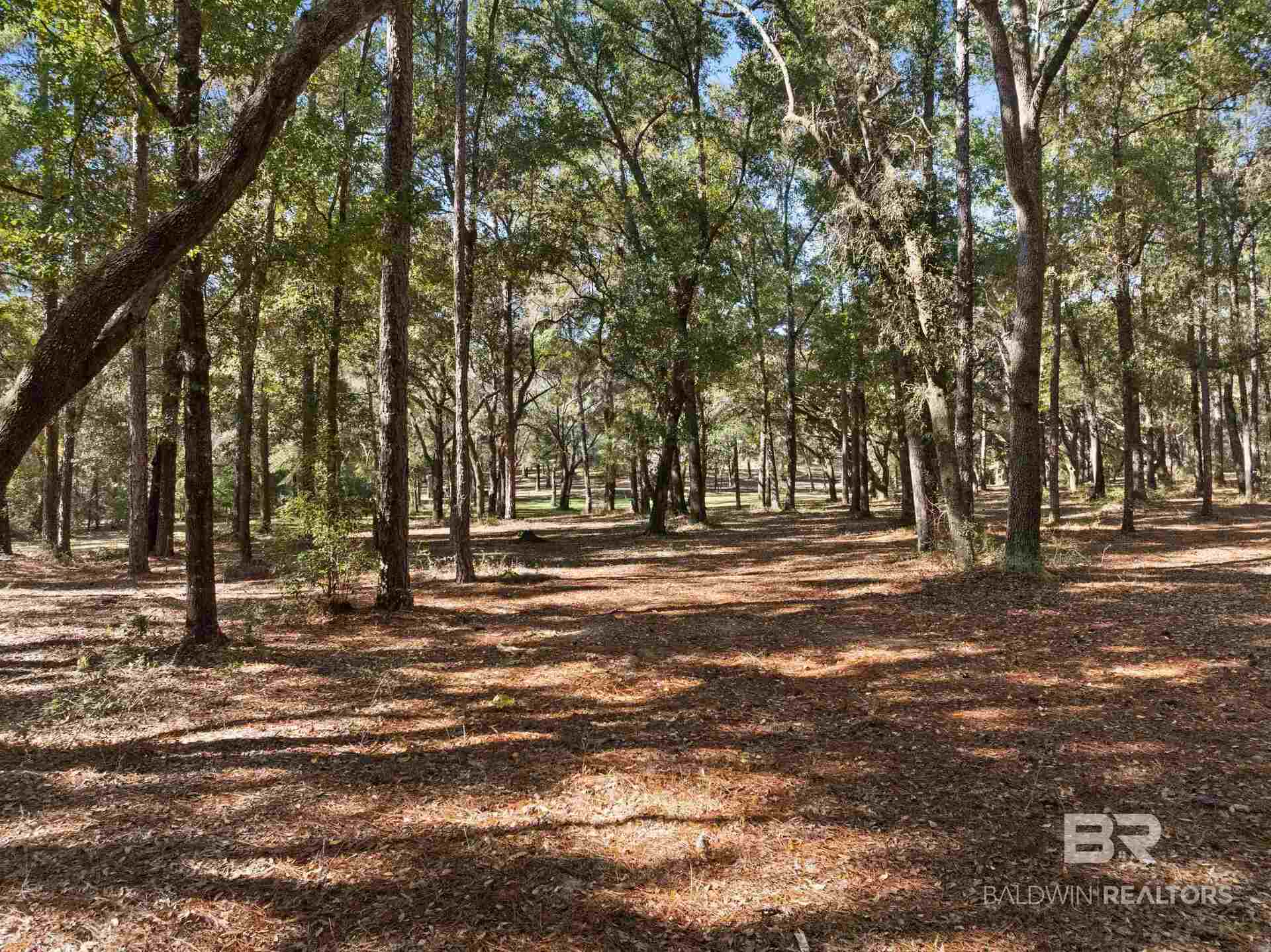 12800 Oak Tree Drive Foley, AL 36535 - Photo 69 of 73 Gallery Image 69