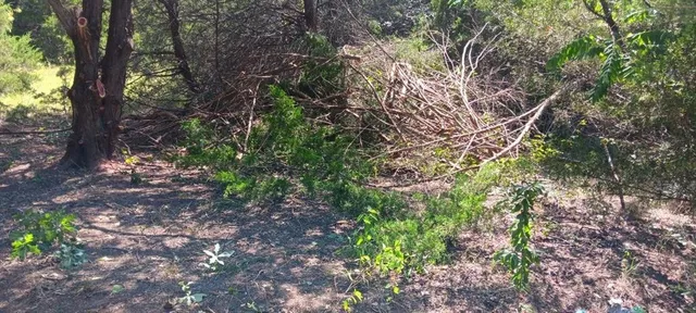 a backyard of a house with lots of green space