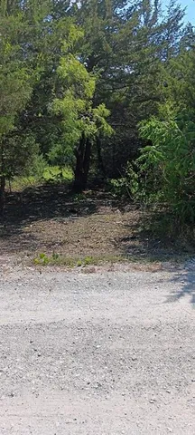 a view of a dry yard with trees