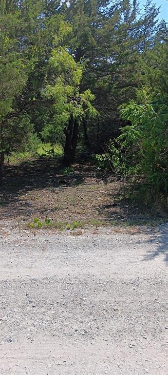 3114 Rd Nw Purdon Tx 76679 Road Northwest Purdon, TX 76679 - Photo 2 of 4 a view of a dry yard with trees