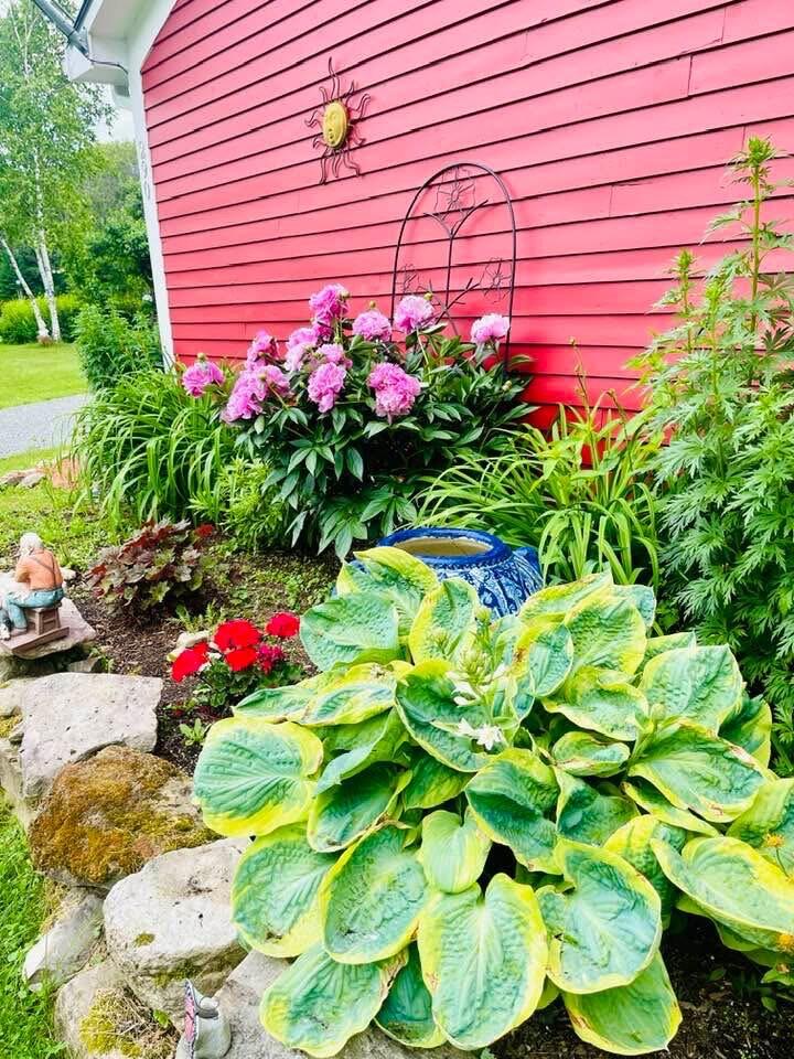290 Hedman Road New Sweden, ME 04762 - Photo 16 of 40 IMG_8879