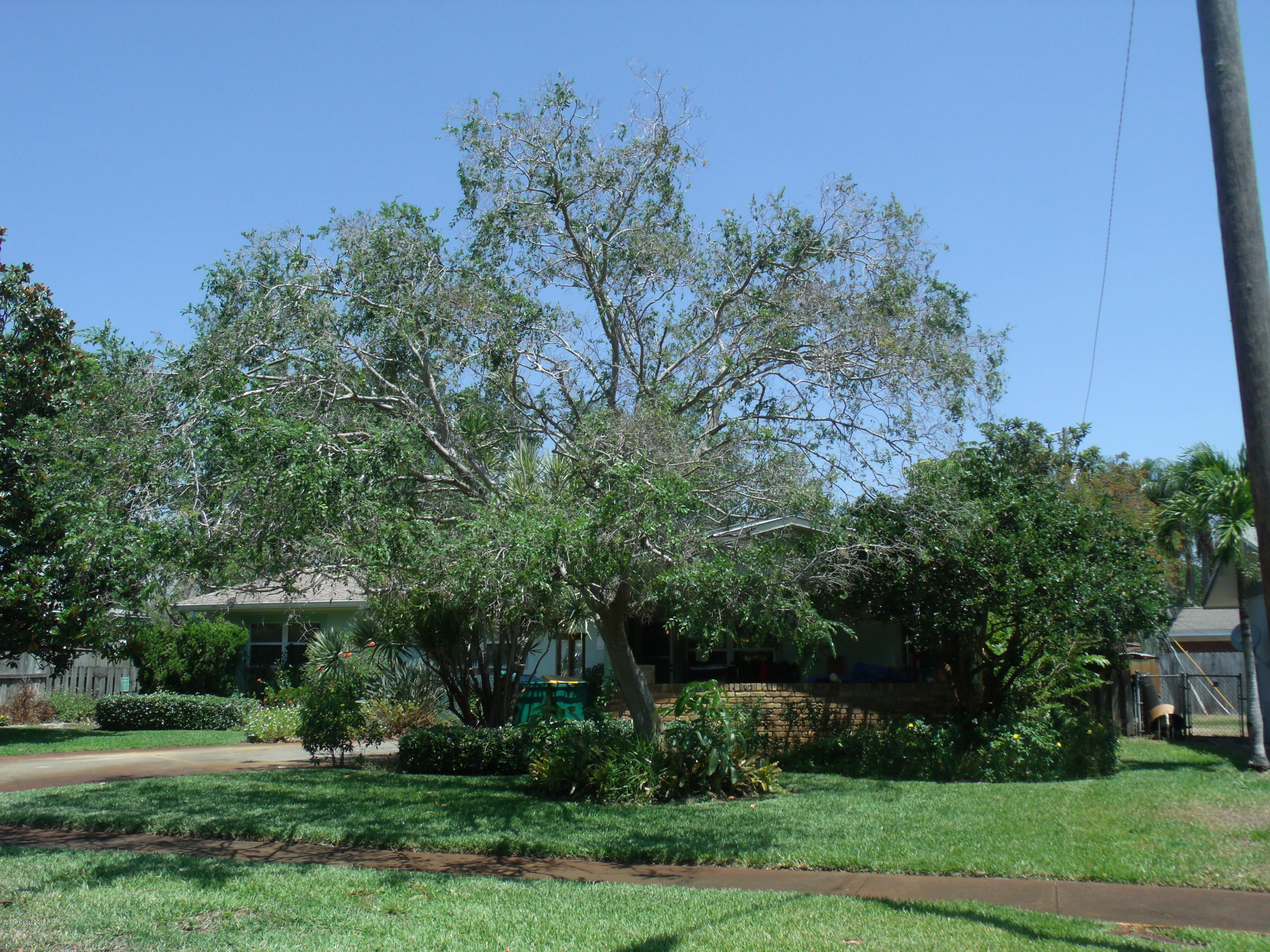 1315 Lester Court Merritt Island, FL 32952 - Photo 1 of 4 GEDC3305
