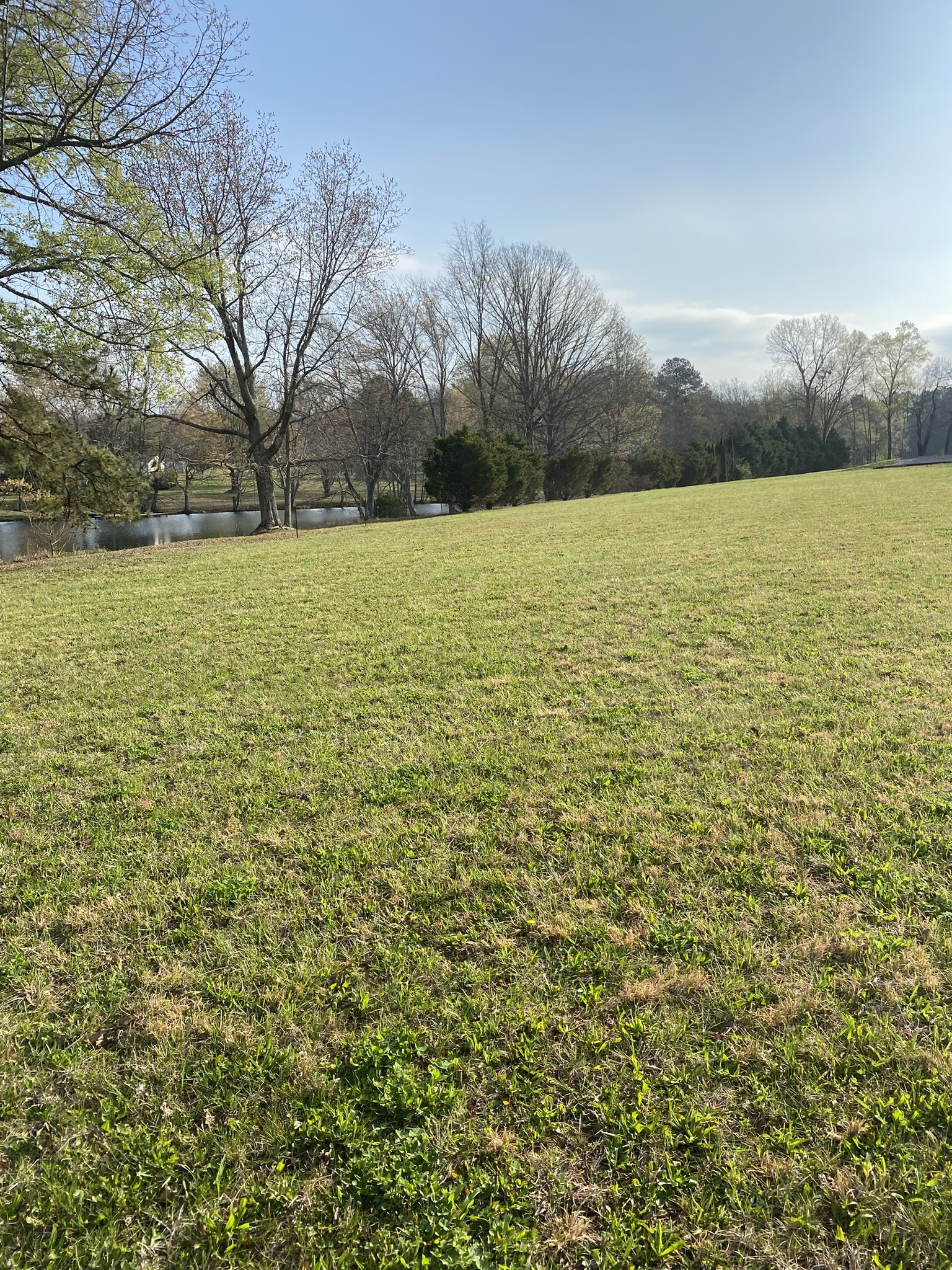 0 White Road Pulaski, TN 38478 - Photo 12 of 16