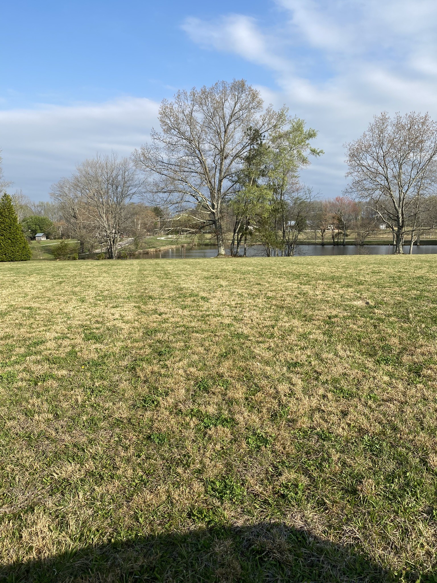 0 White Road Pulaski, TN 38478 - Photo 14 of 16