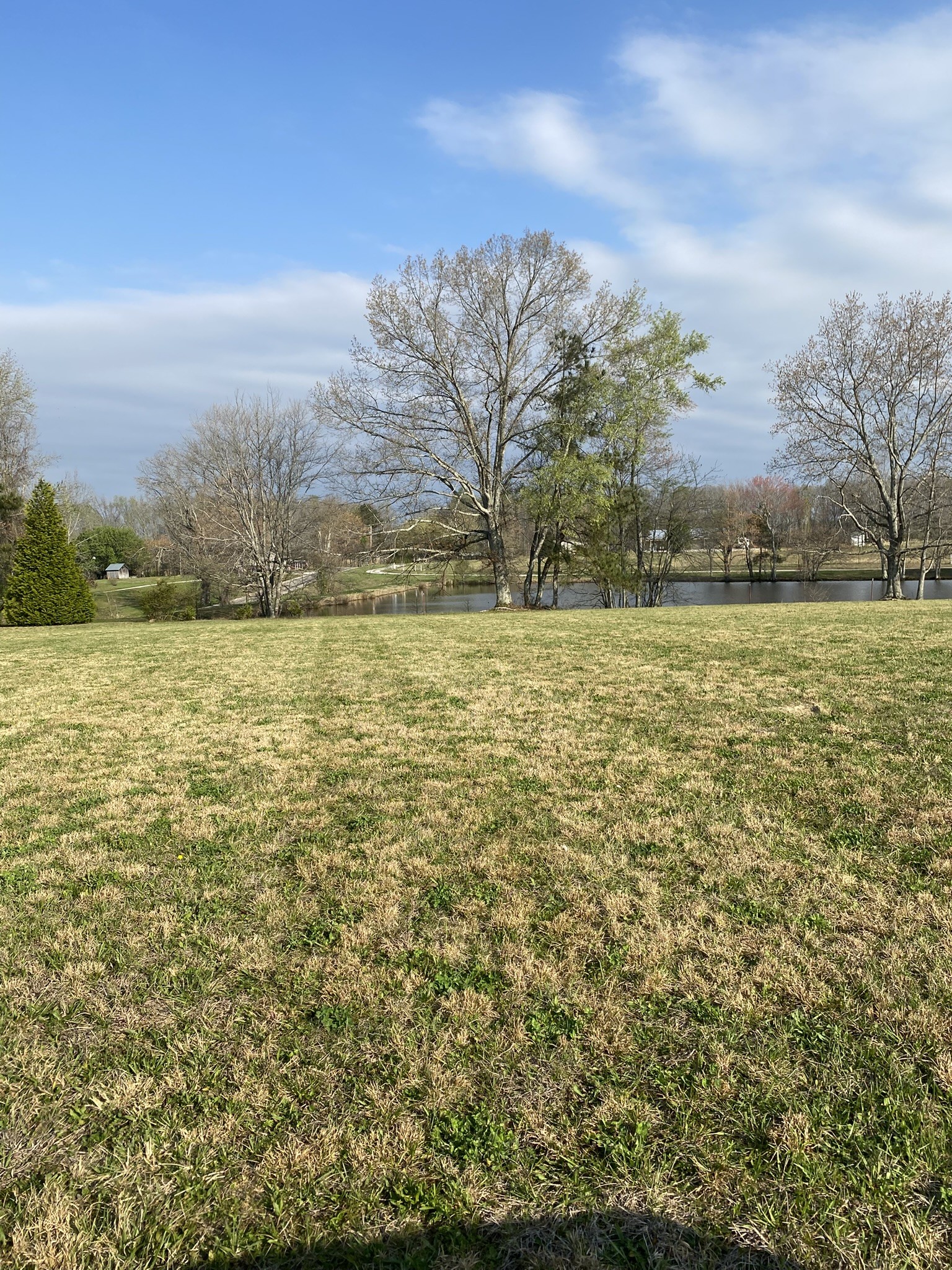 0 White Road Pulaski, TN 38478 - Photo 15 of 16