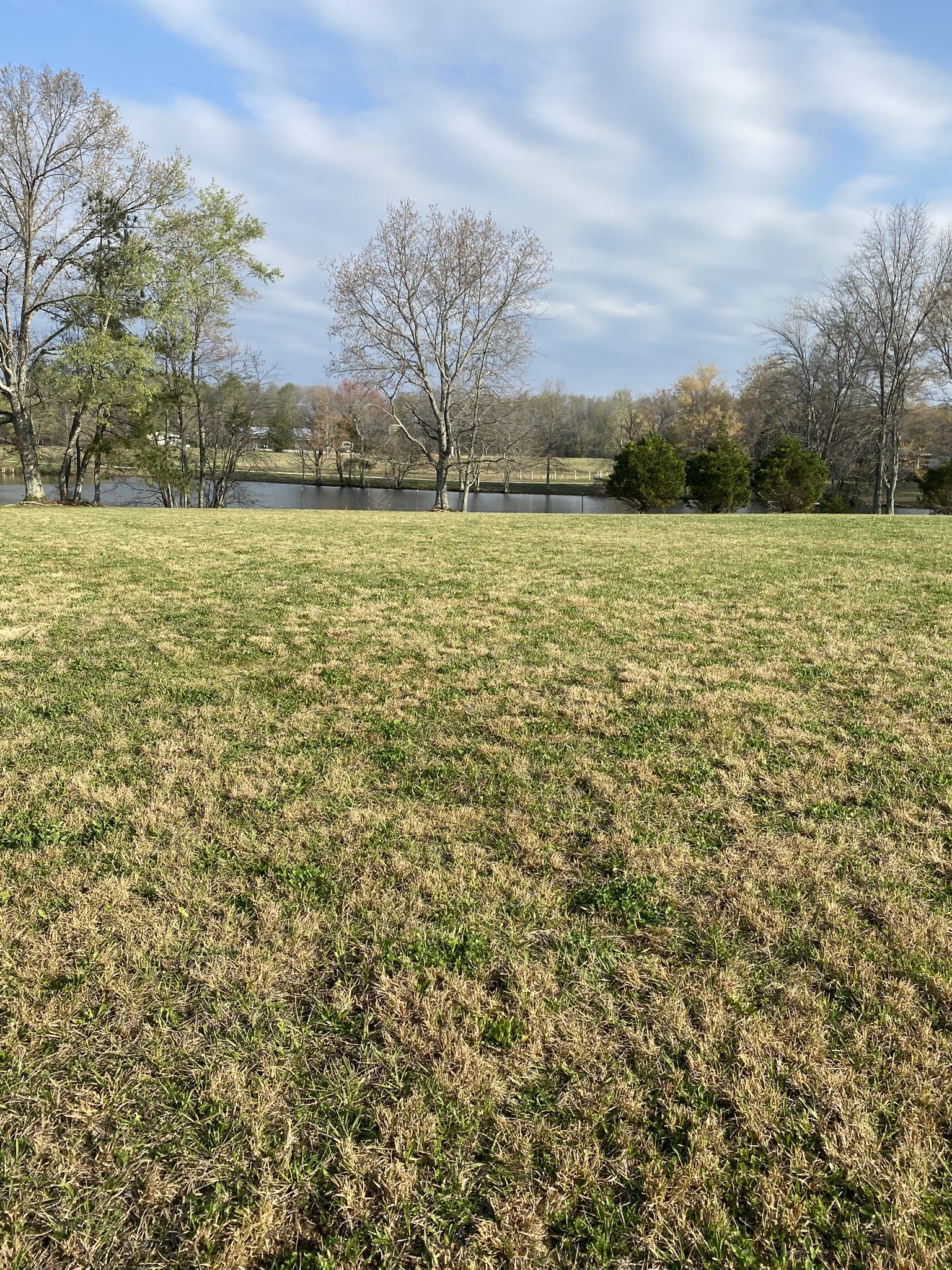 0 White Road Pulaski, TN 38478 - Photo 16 of 16