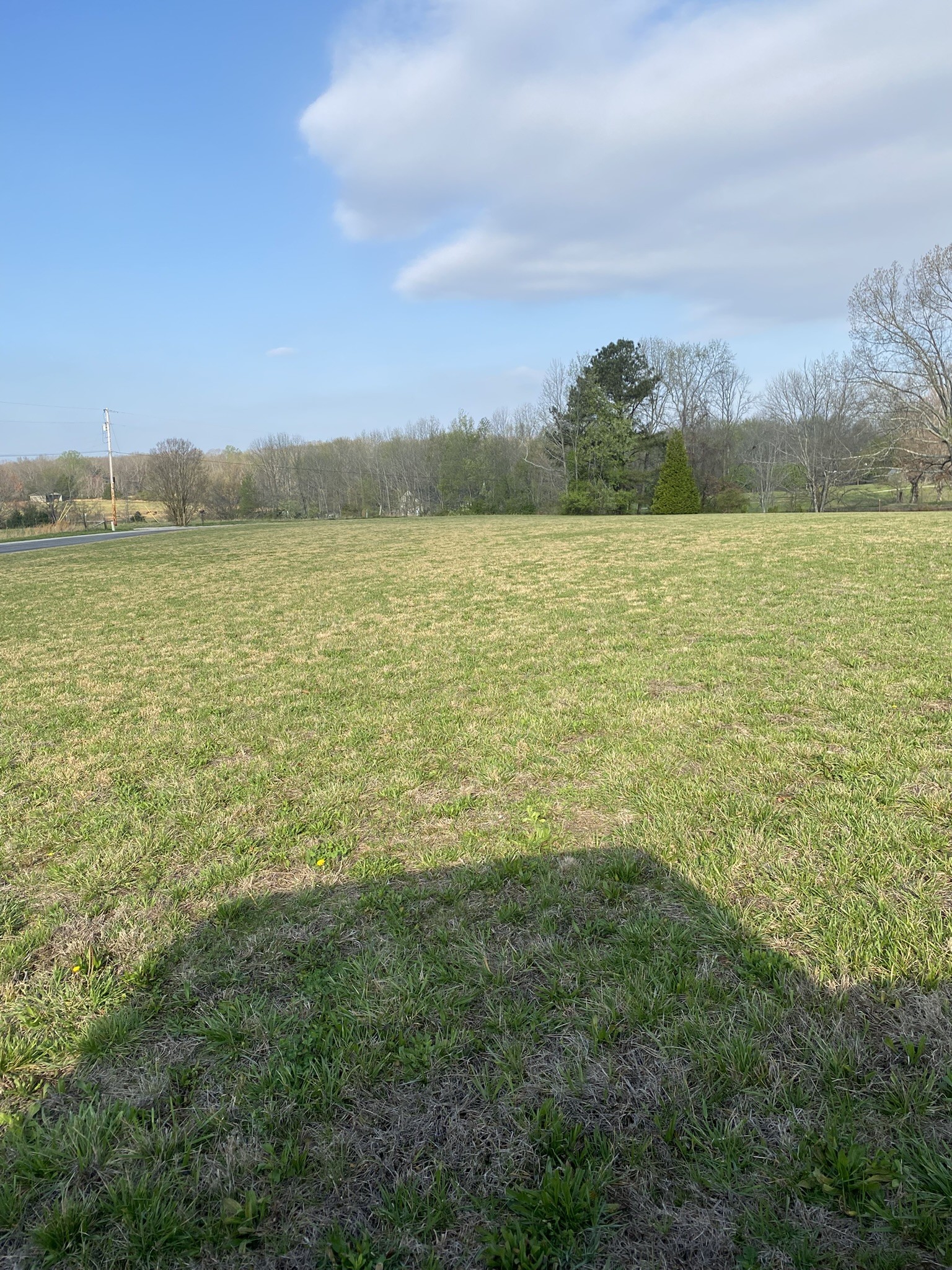 0 White Road Pulaski, TN 38478 - Photo 3 of 16