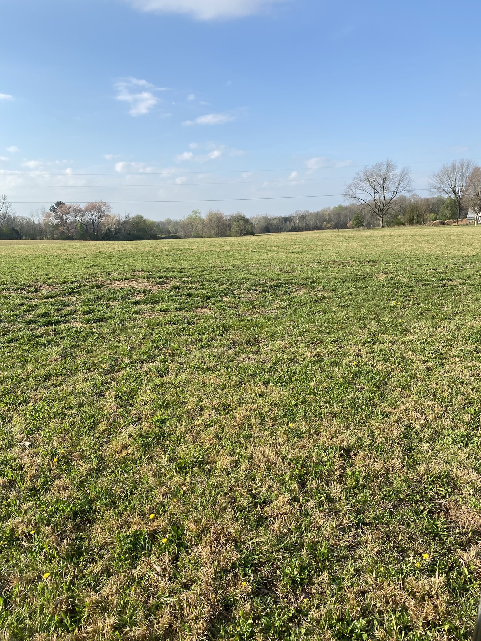 0 White Road Pulaski, TN 38478 - Photo 7 of 16