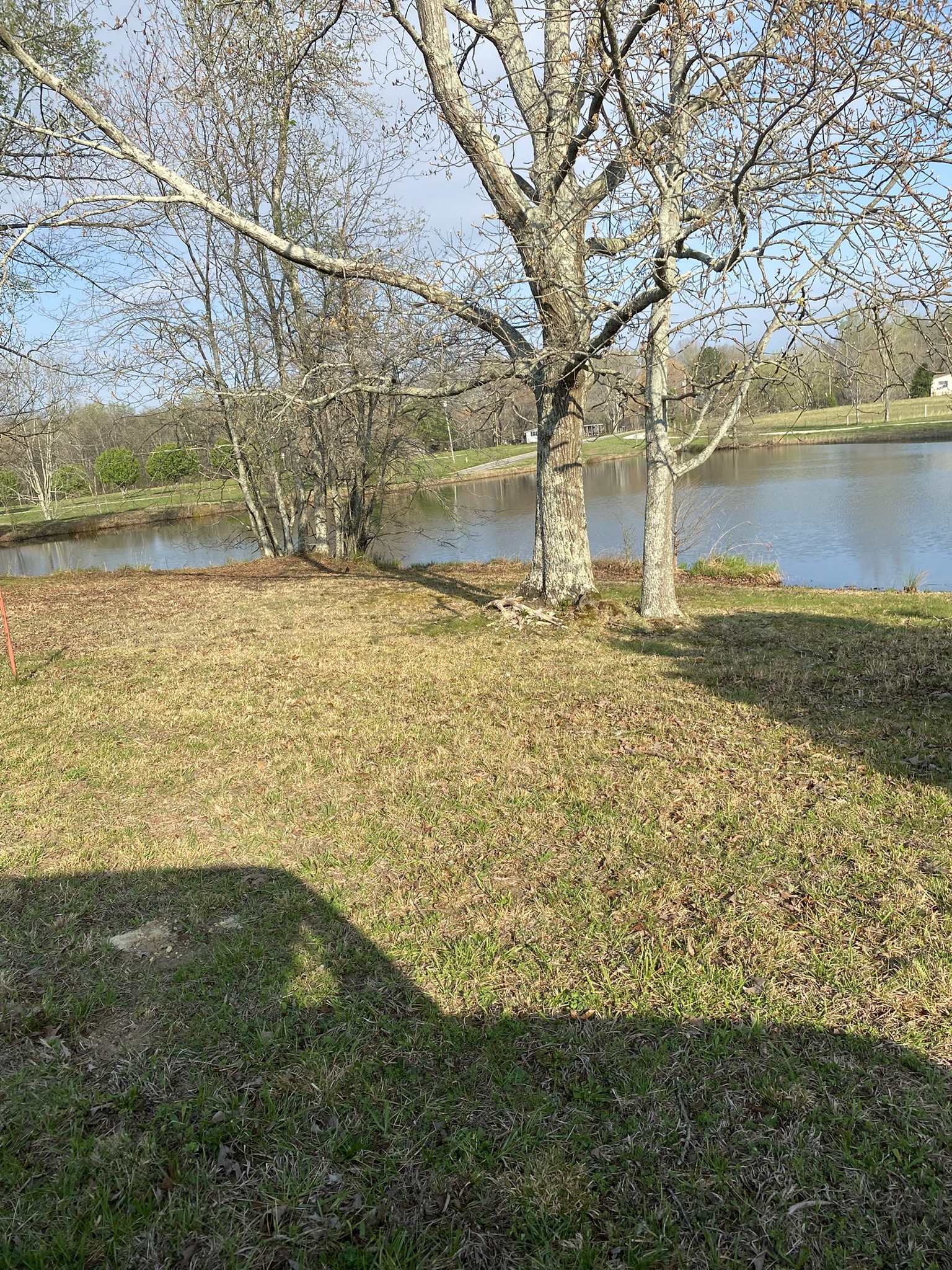 0 White Road Pulaski, TN 38478 - Photo 10 of 16