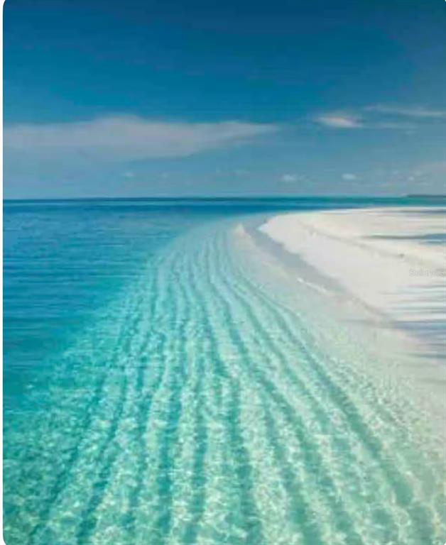 4634 McIntosh Road Sarasota, FL 34233 - Photo 17 of 20 a view of a field with an ocean