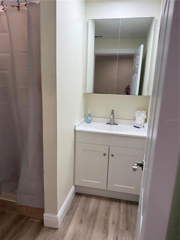 4634 McIntosh Road Sarasota, FL 34233 - Photo 10 of 20 a bathroom with a sink and a mirror