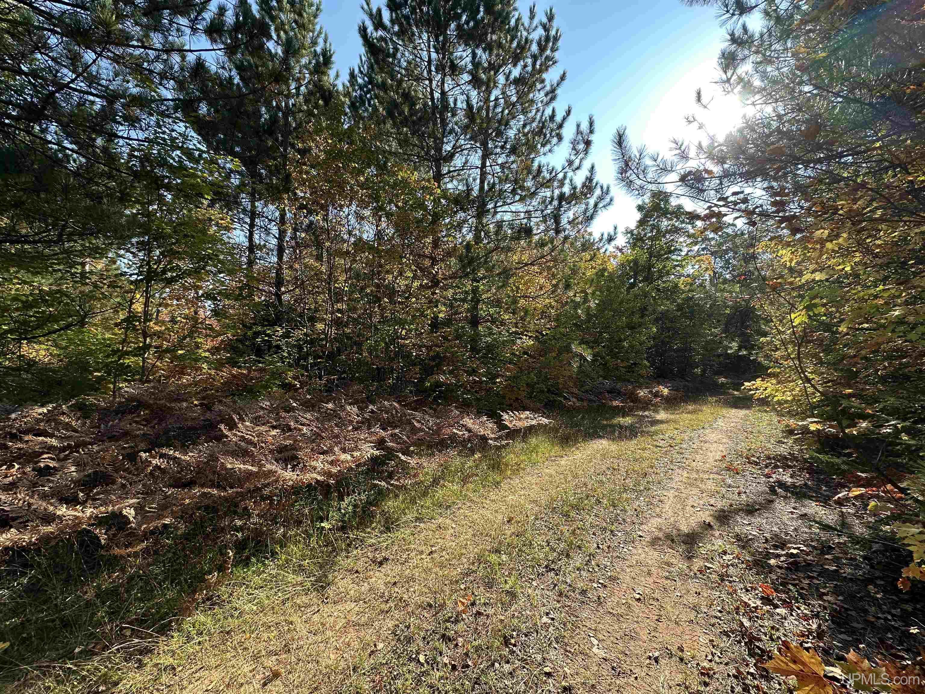 510 Rd Ishpeming Mi 49849 Road Negaunee, MI 49866 - Photo 53 of 54