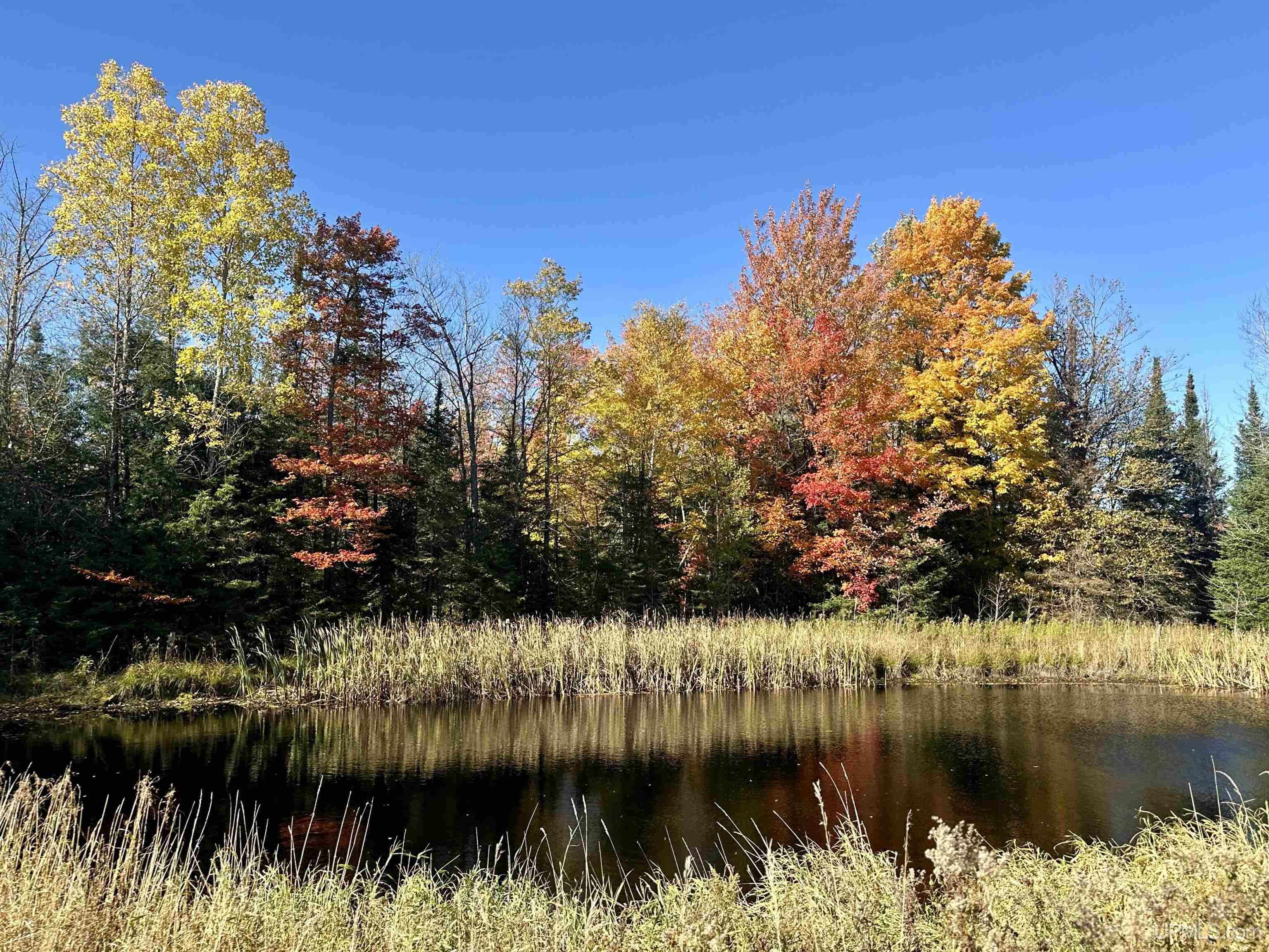 Tbd Tbd Tyner Road Chatham, MI 49816 - Photo 1 of 17