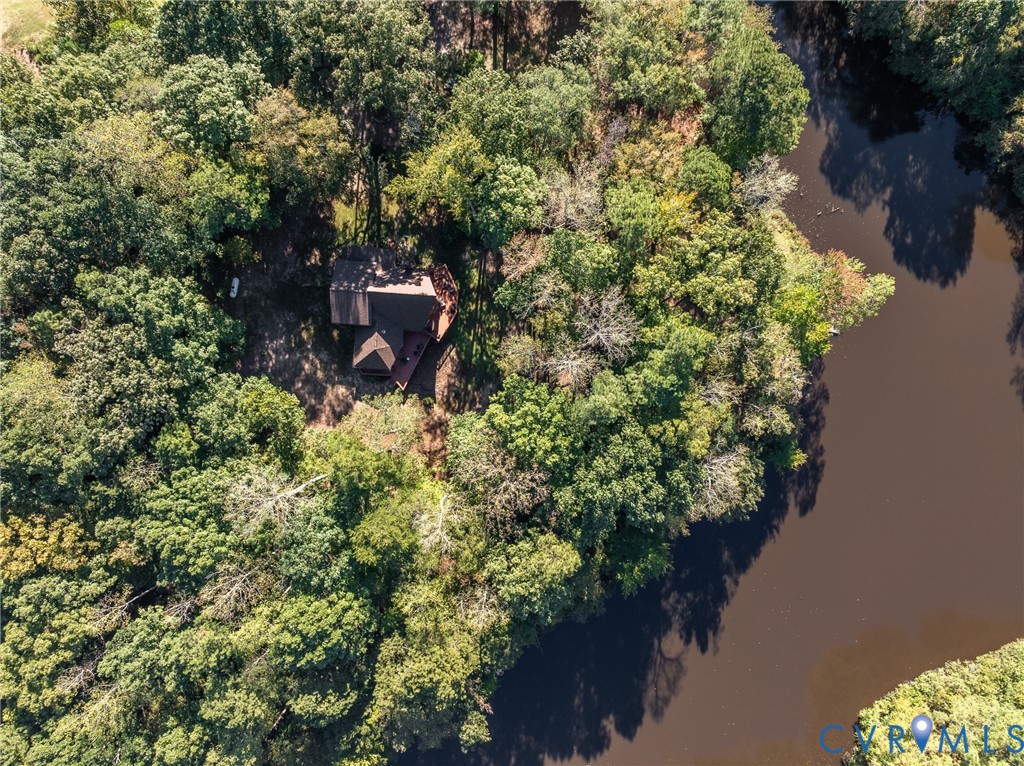 7399 Club Drive Quinton, VA 23141 - Photo 40 of 42 a plant that is in a garden